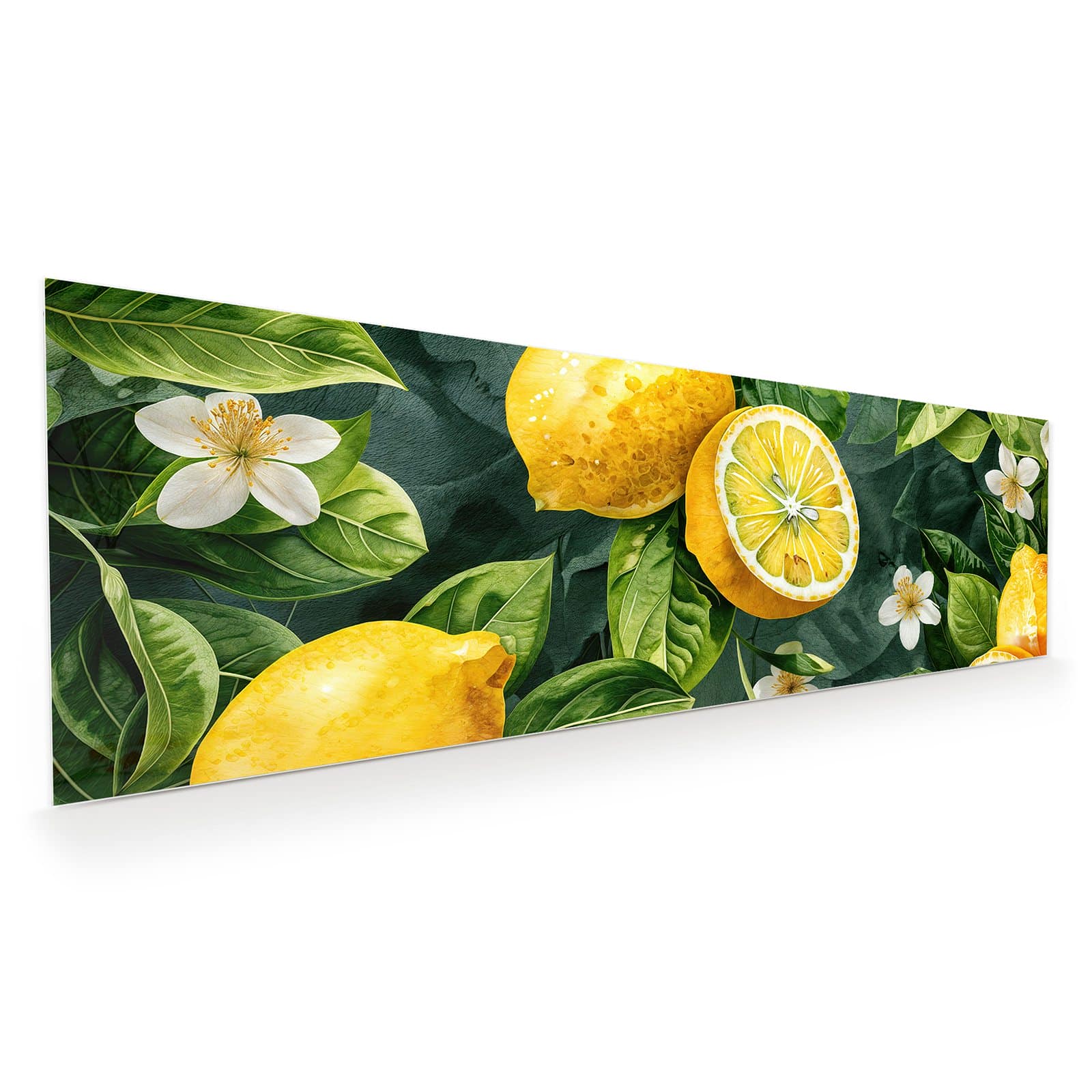 #grösse_120 x 40 cm