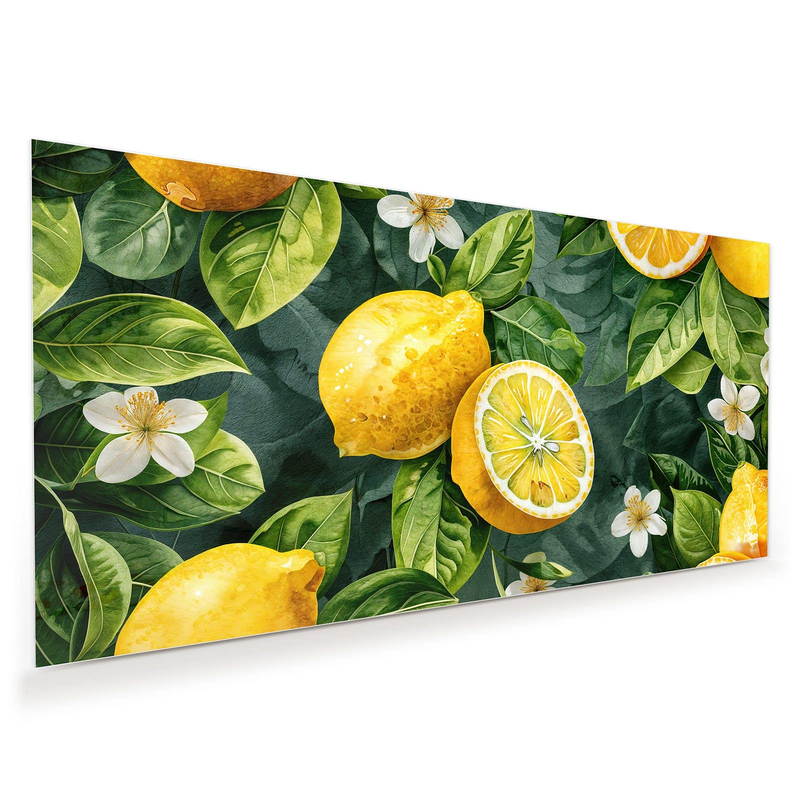 #grösse_60 x 30 cm #grösse_80 x 40 cm #grösse_100 x 50 cm #grösse_110 x 55 cm #grösse_120 x 60 cm