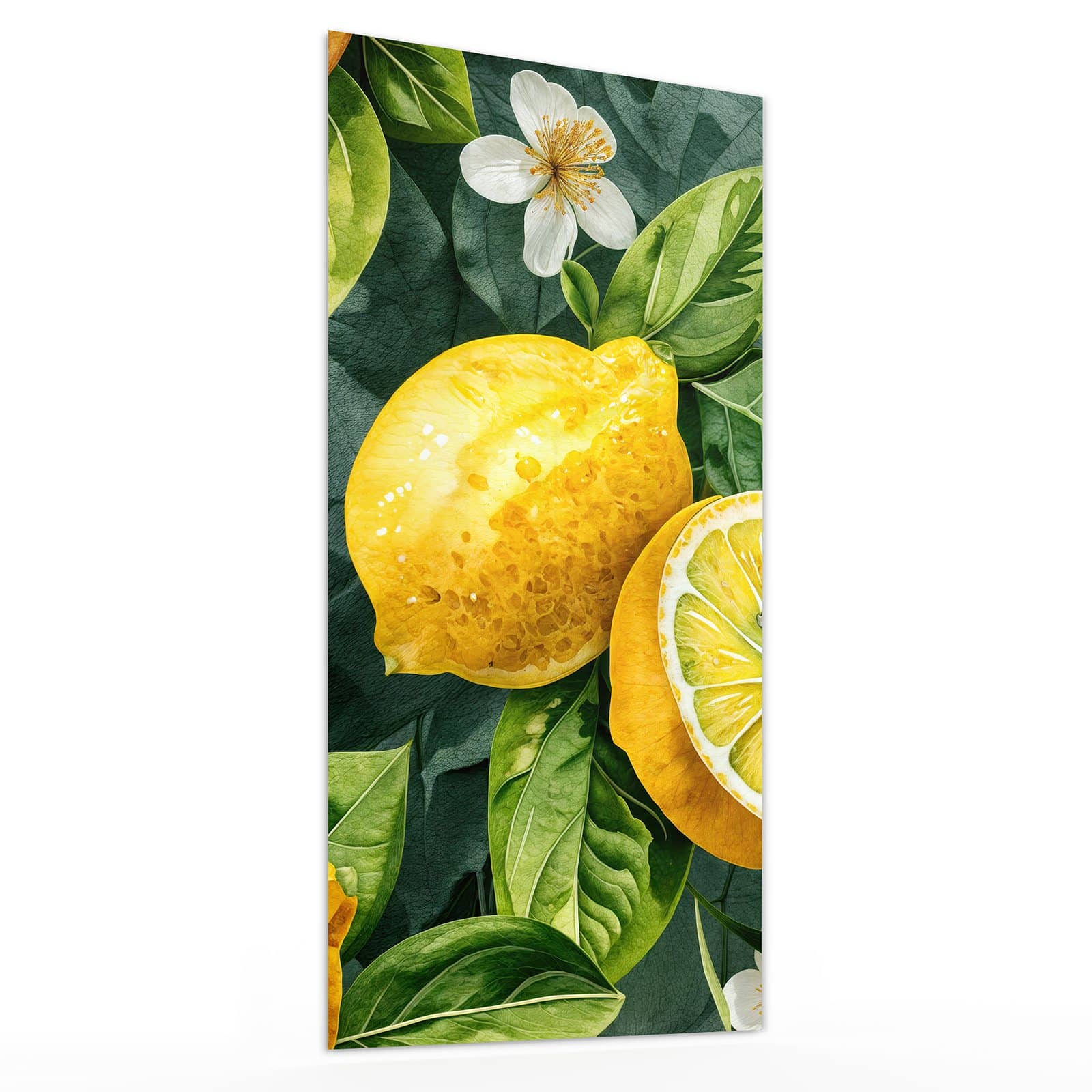 #grösse_30 x 60 cm #grösse_40 x 80 cm #grösse_50 x 100 cm #grösse_55 x 110 cm #grösse_60 x 120 cm