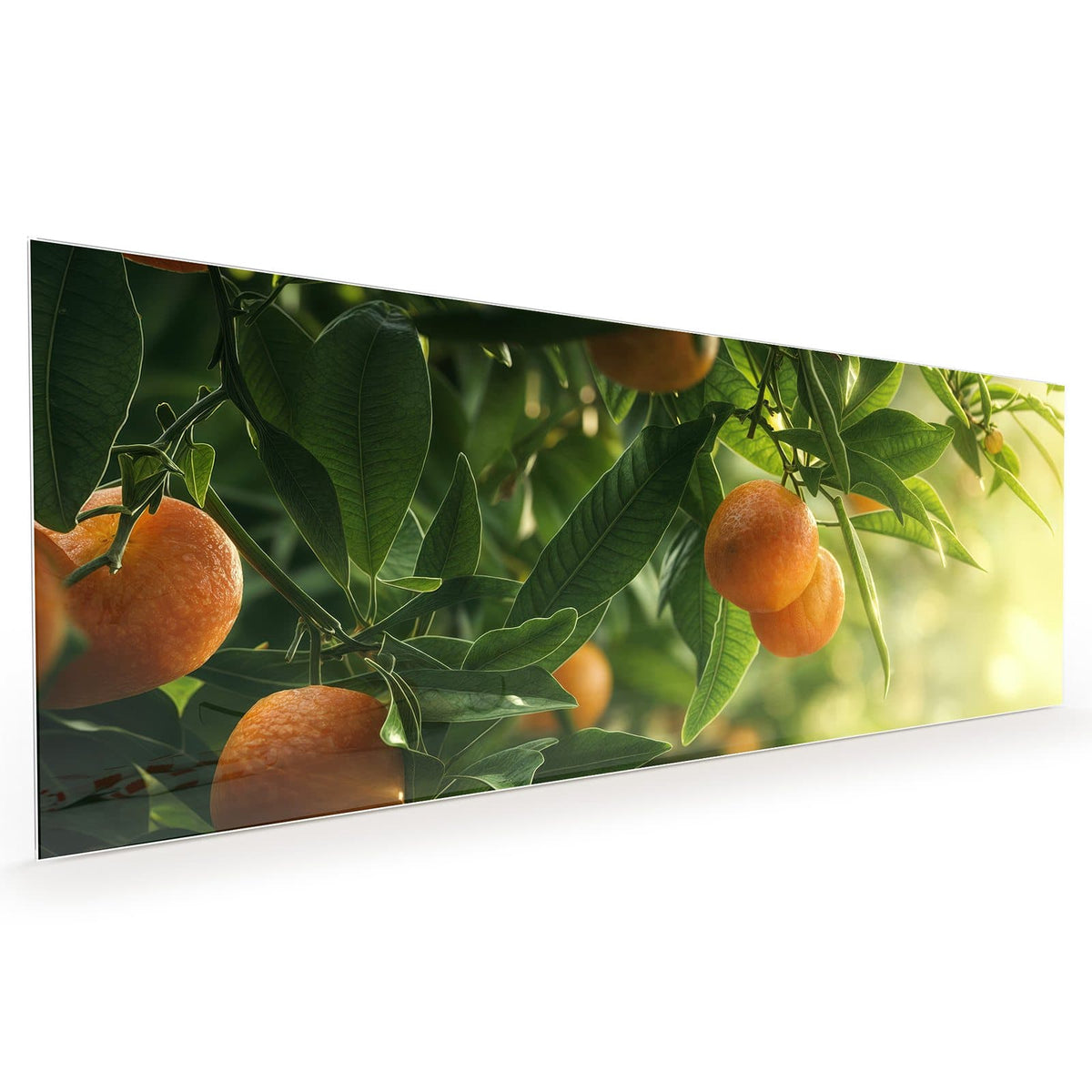 #grösse_40 x 100 cm #grösse_50 x 125 cm #grösse_60 x 150 cm