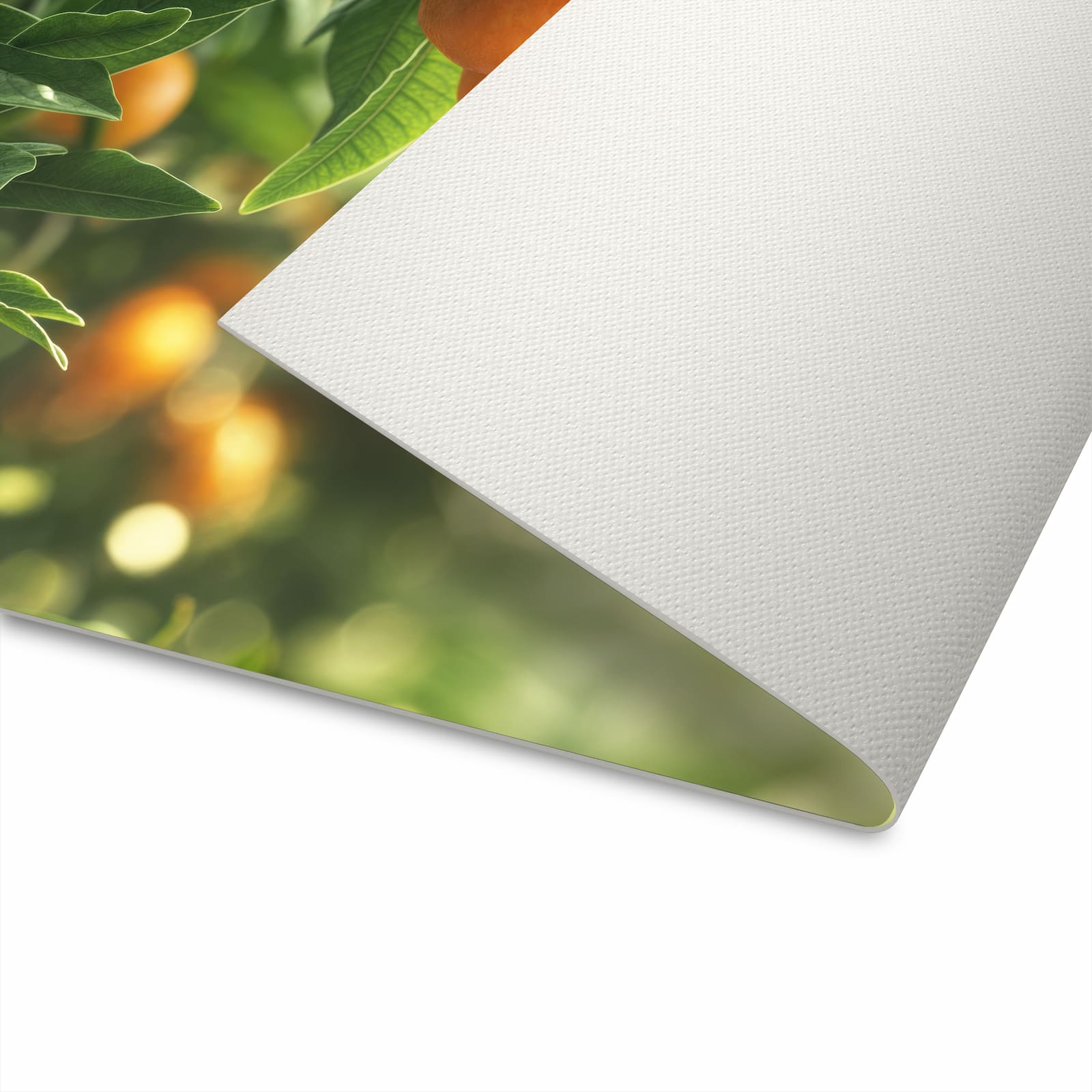Rutschfester Küchenteppich mit Motiv Orangenbaum Closeup für angenehme Haptik