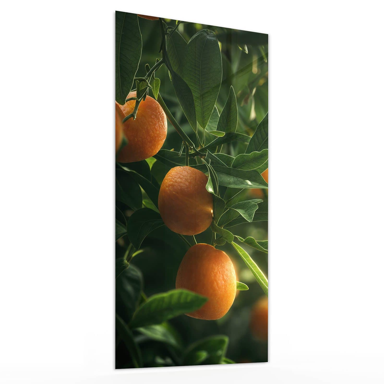 #grösse_30 x 60 cm #grösse_40 x 80 cm #grösse_50 x 100 cm #grösse_55 x 110 cm #grösse_60 x 120 cm