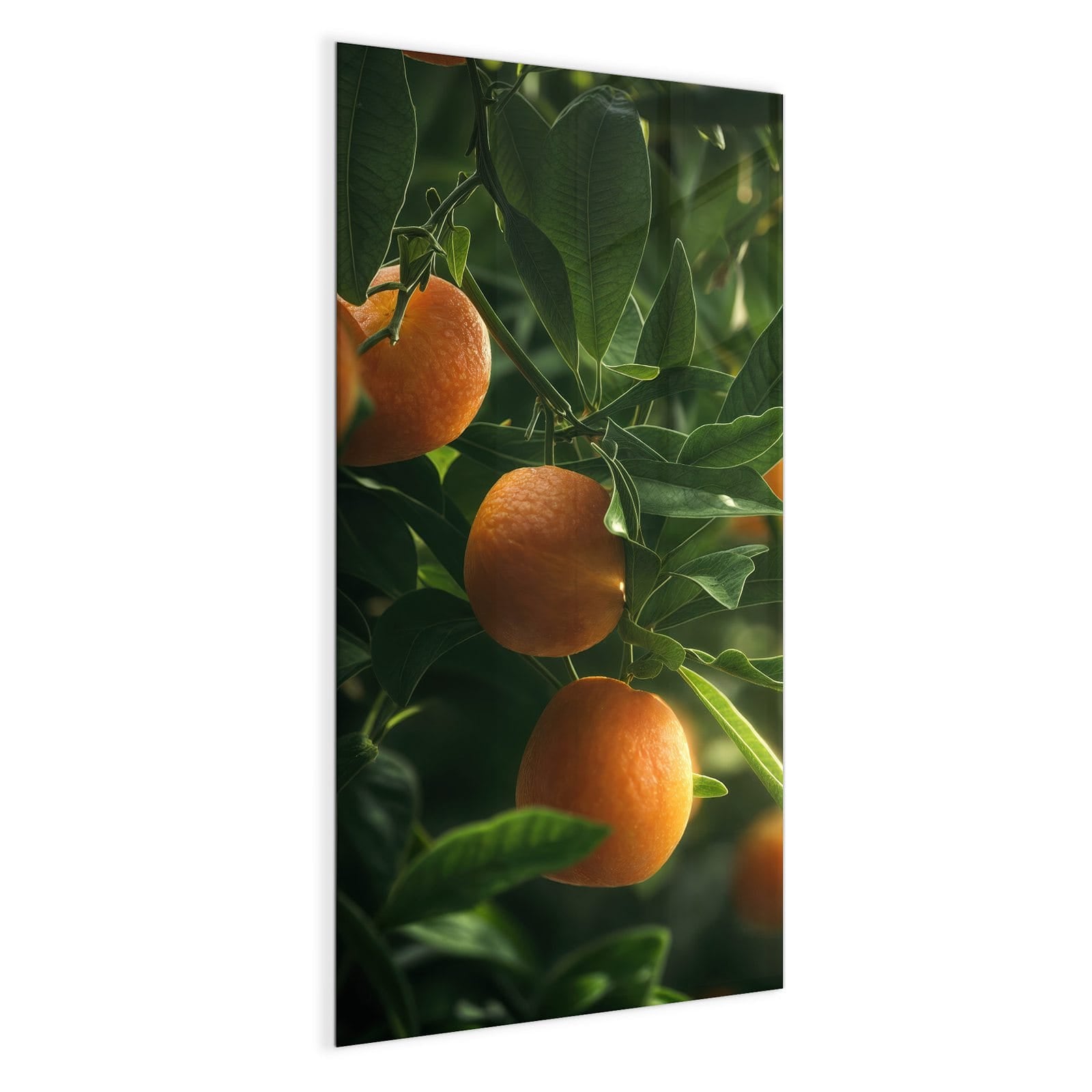 #grösse_50 x 100 cm