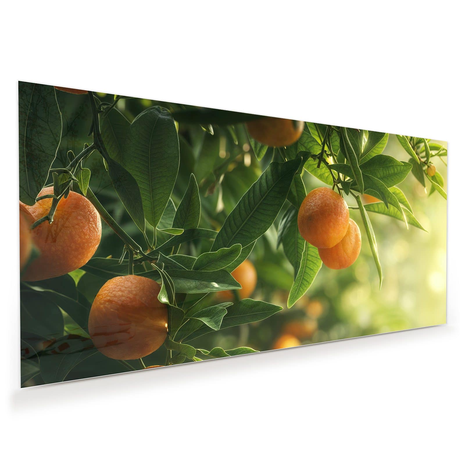 #grösse_60 x 30 cm #grösse_80 x 40 cm #grösse_100 x 50 cm #grösse_110 x 55 cm #grösse_120 x 60 cm