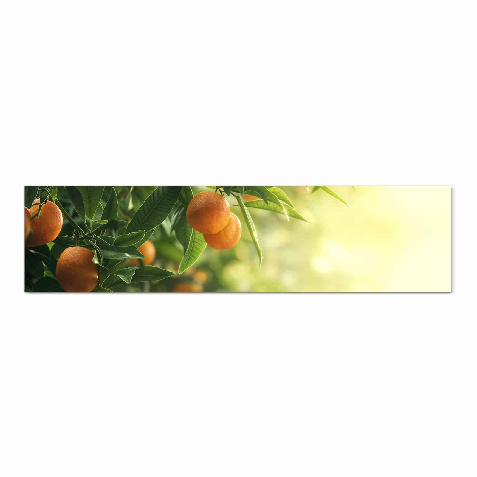 Langlebiger Küchenläufer mit Motiv Orangenbaum Closeup in Frontansicht, waschbar