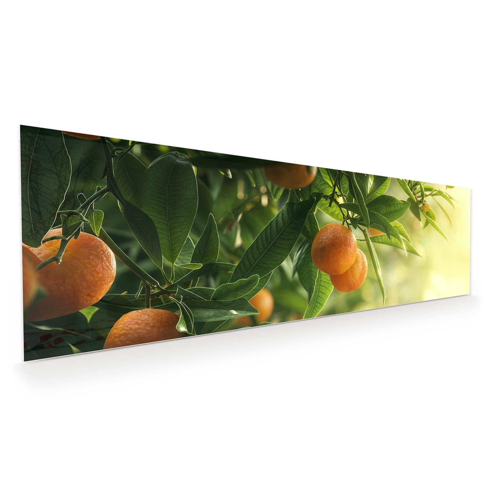 #grösse_120 x 40 cm