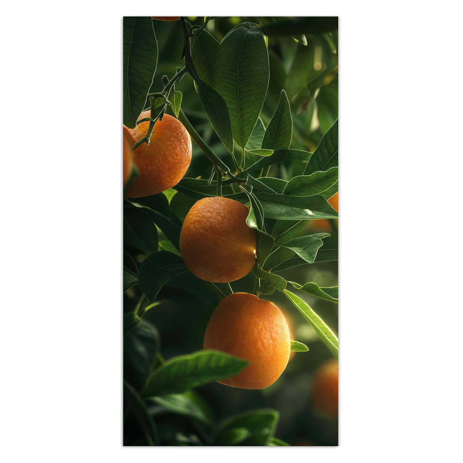 #grösse_30 x 60 cm #grösse_40 x 80 cm #grösse_50 x 100 cm #grösse_55 x 110 cm #grösse_60 x 120 cm