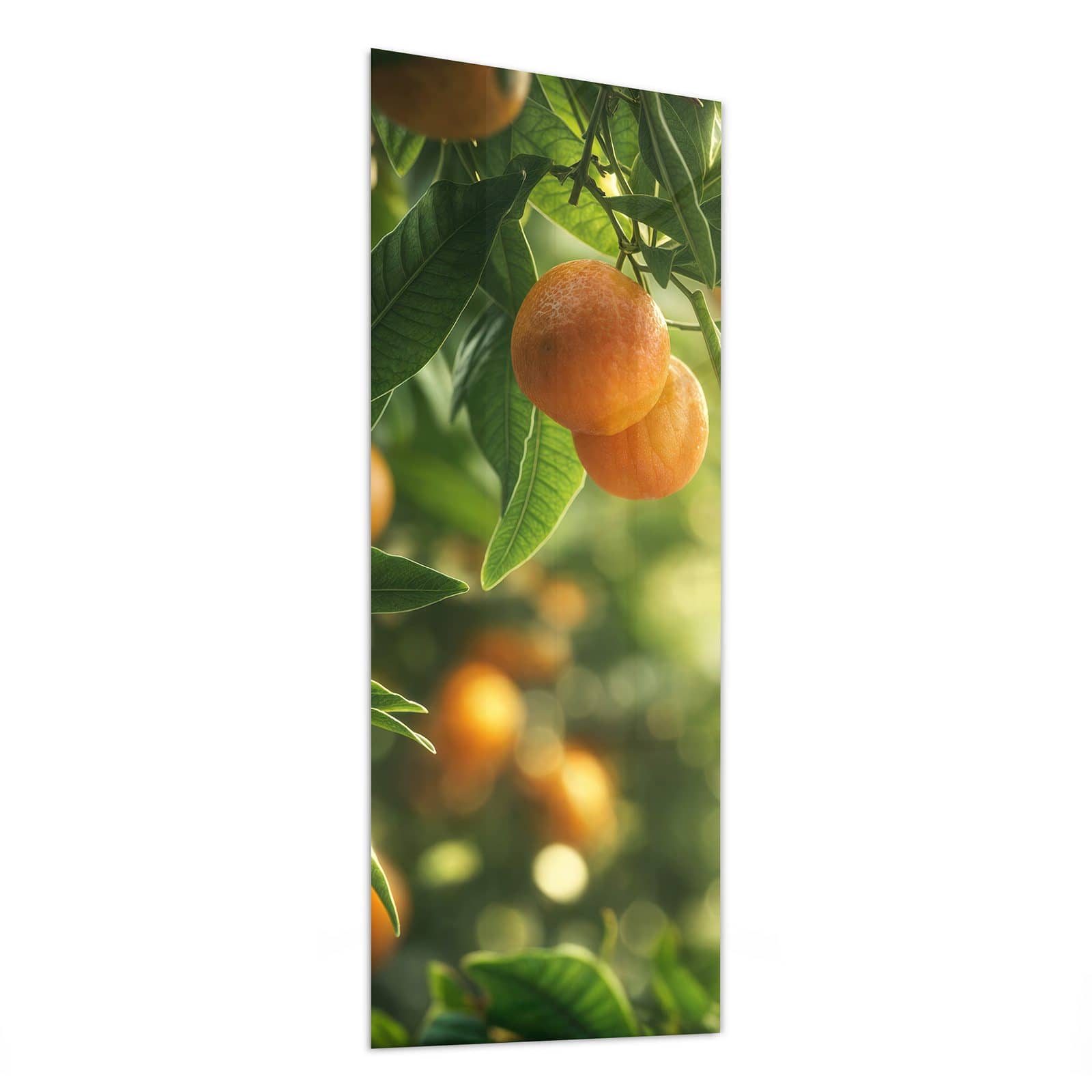 #grösse_50 x 125 cm #grösse_40 x 100 cm #grösse_60 x 150 cm