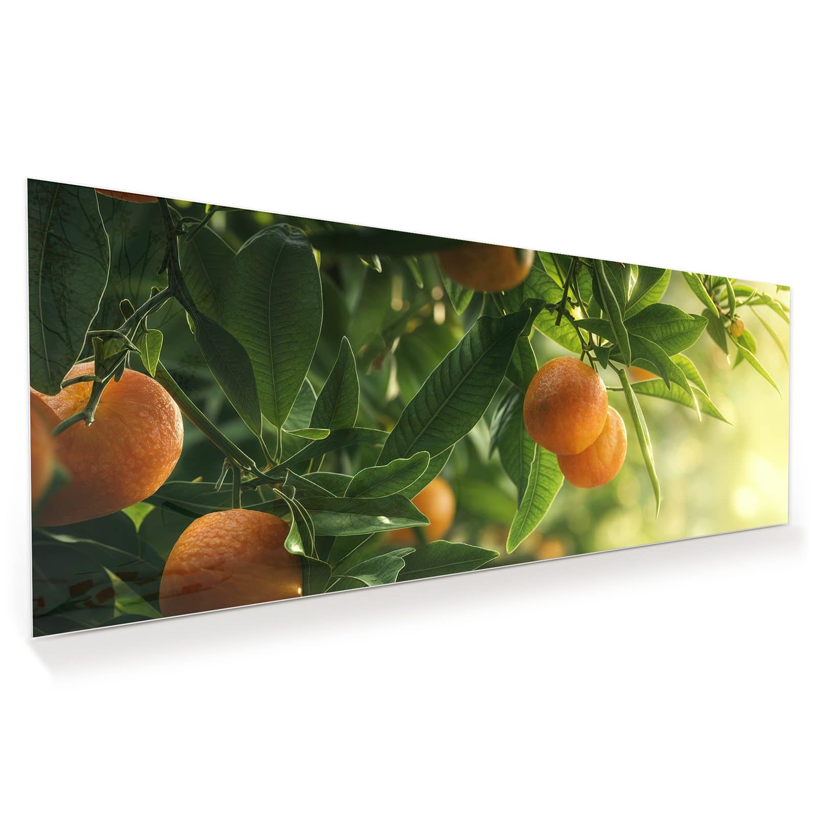 #grösse_100 x 40 cm #grösse_125 x 50 cm #grösse_150 x 60 cm