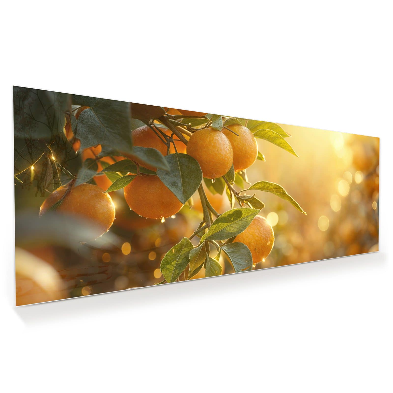 #grösse_100 x 40 cm #grösse_125 x 50 cm #grösse_150 x 60 cm