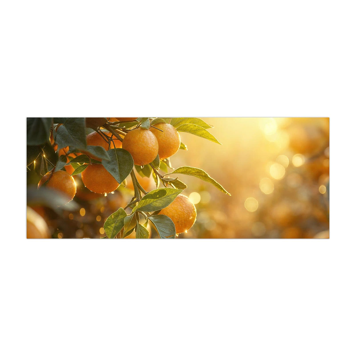 Küchenrückwand aus Glas Sonnengeflutete Orangen im Hochformat, Motiv bildfüllend von vorn