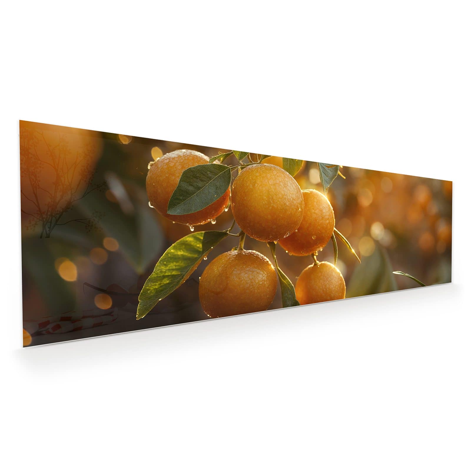 #grösse_120 x 40 cm