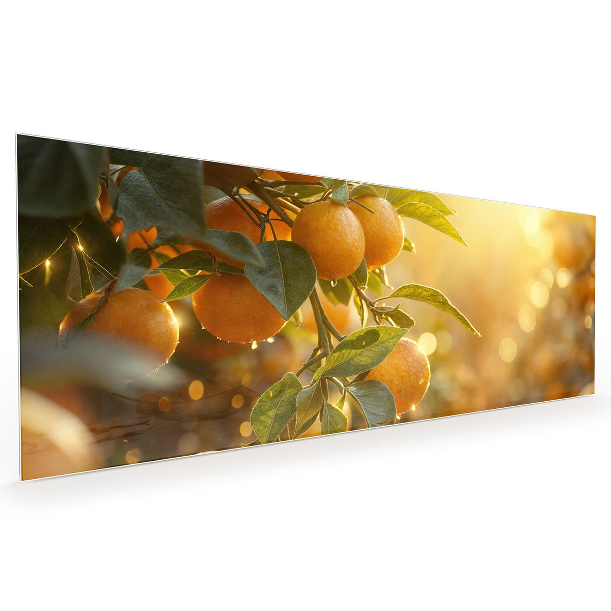 #grösse_40 x 100 cm #grösse_50 x 125 cm #grösse_60 x 150 cm