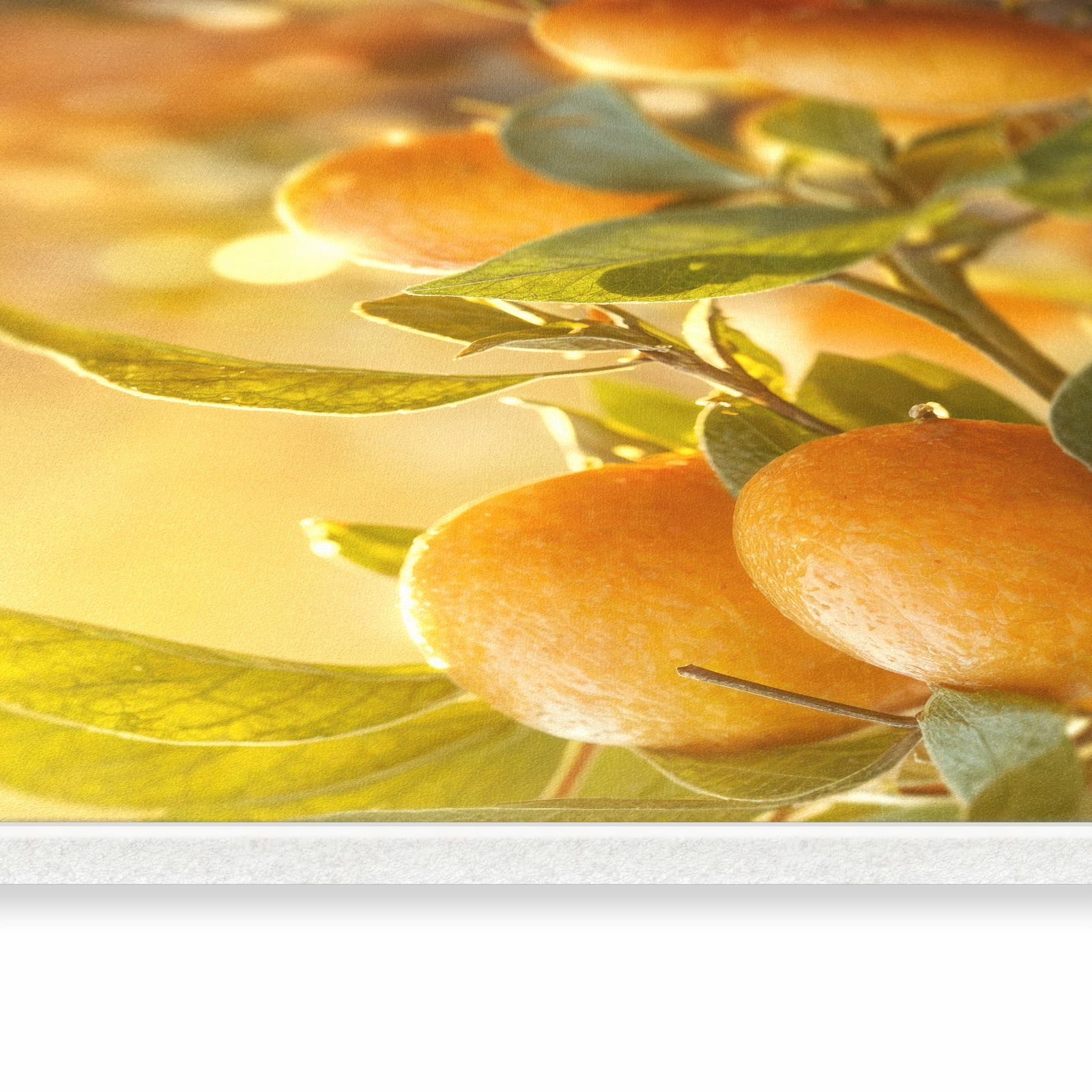 Flacher Küchenteppich mit Motiv Sonnengeflutete Orangen in seitlicher Ansicht - abwaschbar