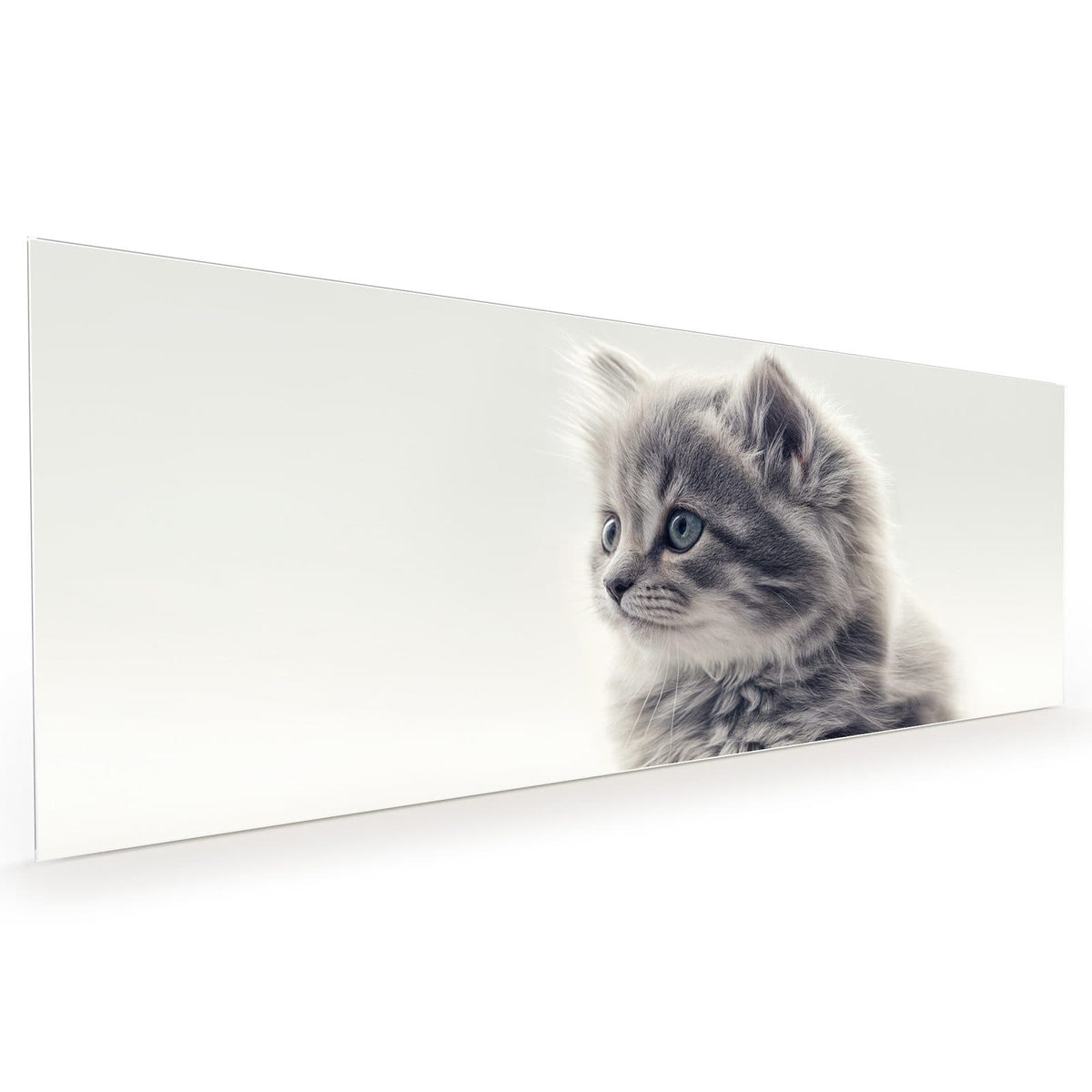 #grösse_40 x 100 cm #grösse_50 x 125 cm #grösse_60 x 150 cm