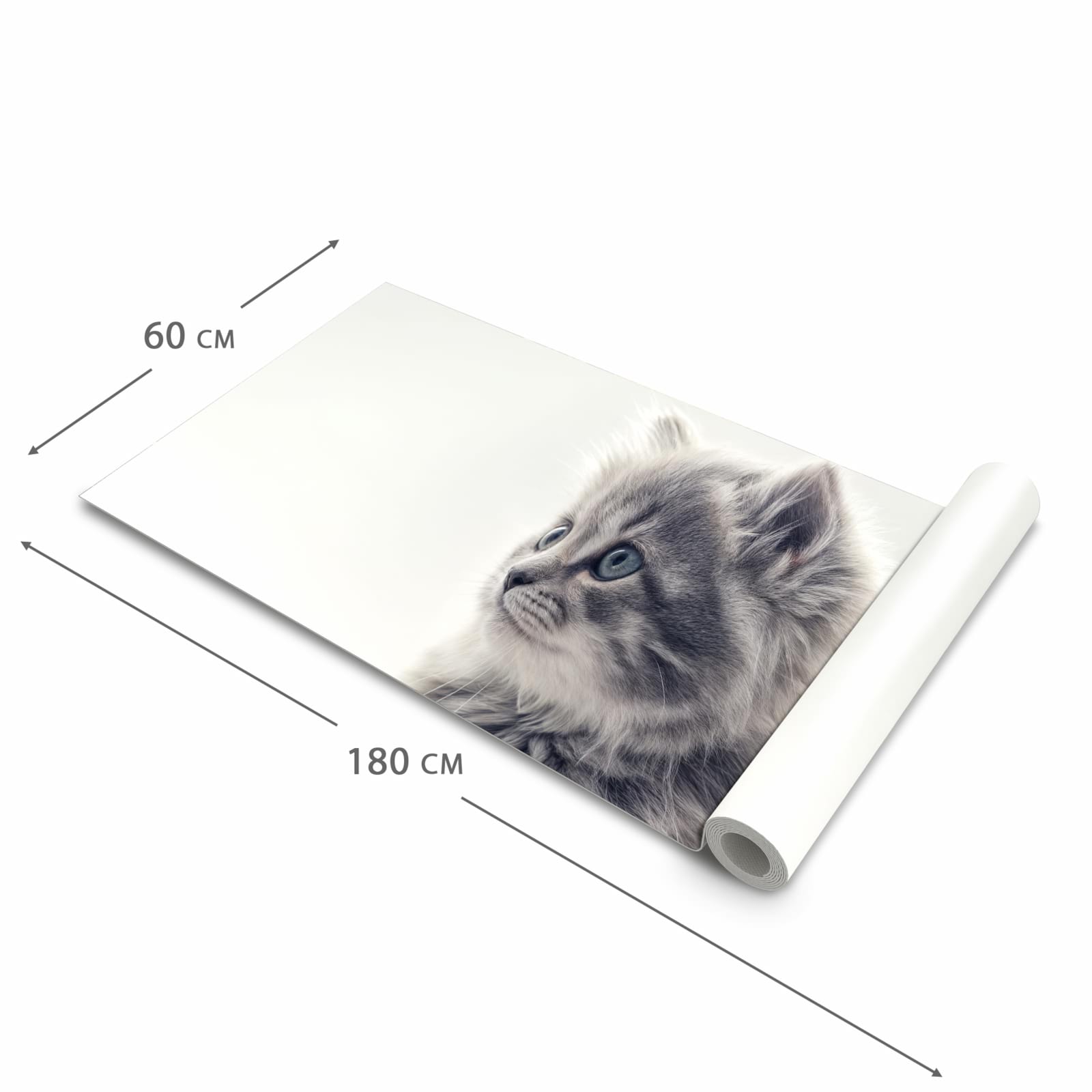 Küchenteppich mit Motiv Kitten Portrait in der Grösse 60x90 cm für Ordnung & Übersicht