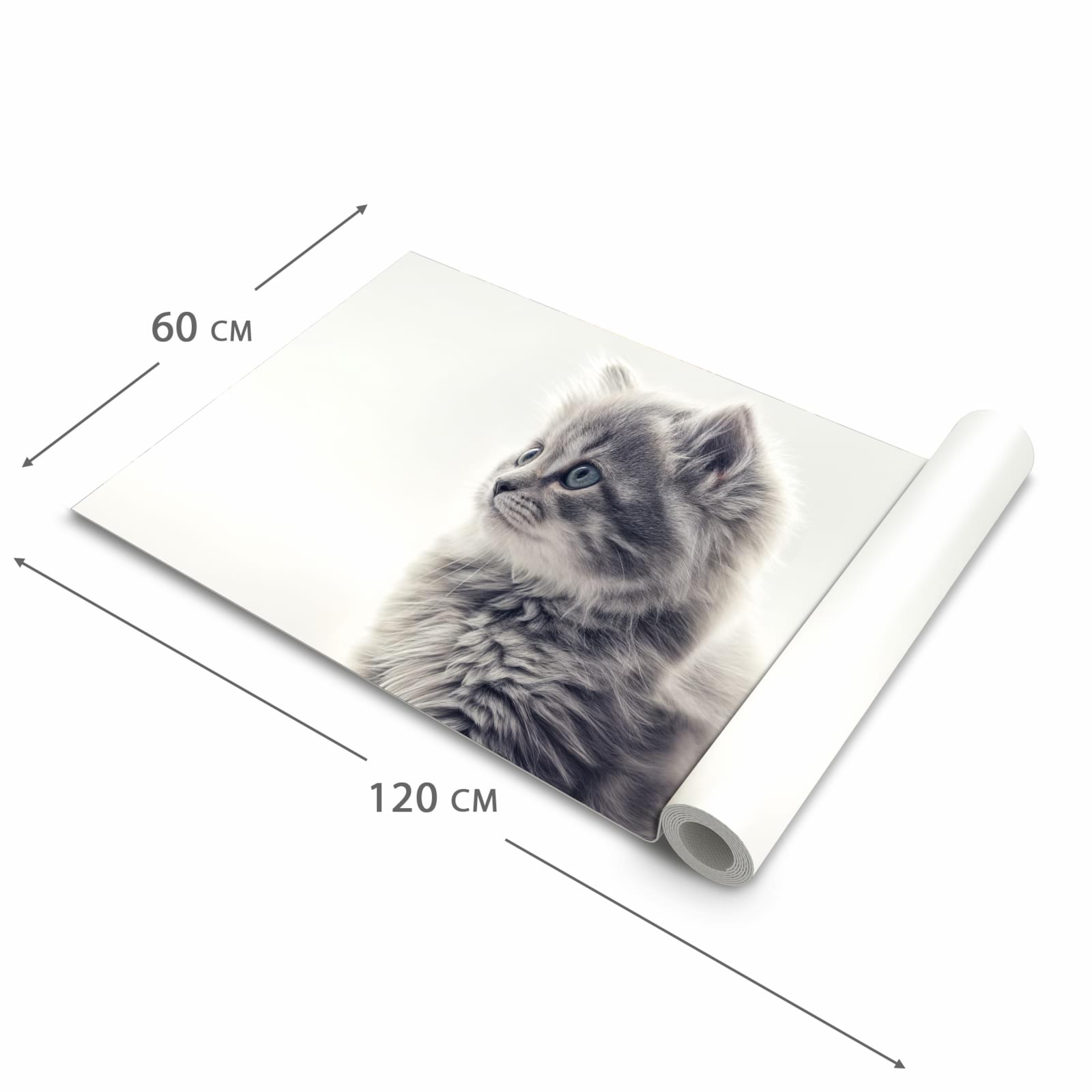 Feuchtigkeitsresistenter Küchenteppich mit Motiv Kitten Portrait in der Grösse 60x90 cm