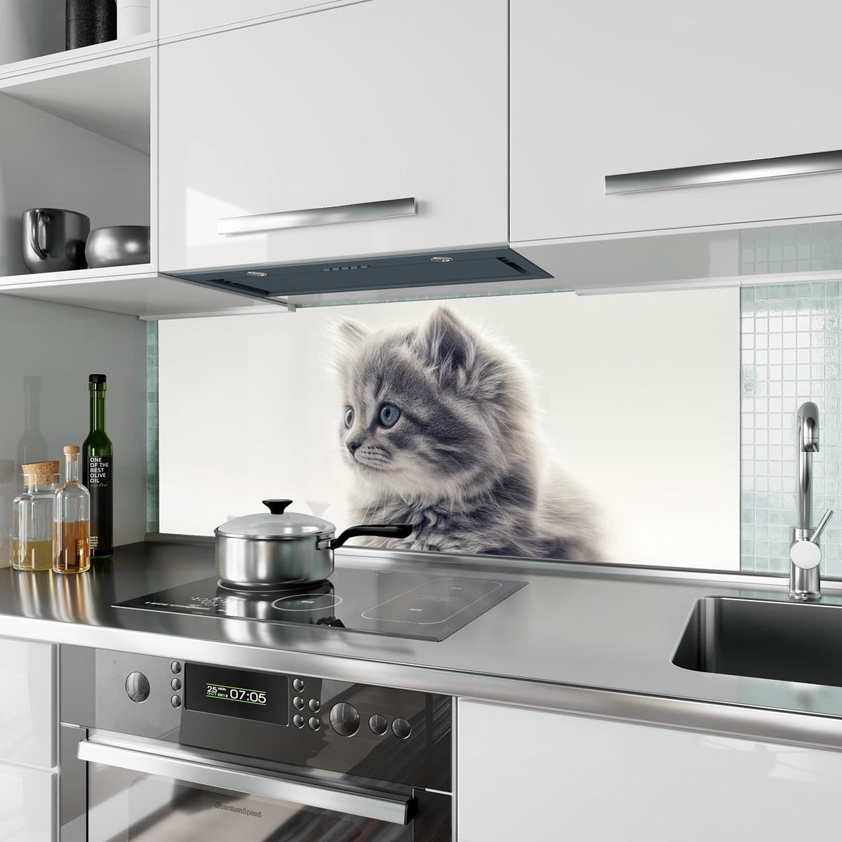 Küchenrückwand aus Glas Graues Kätzchen im Hochformat als Spritzschutz hinter dem Kochfeld, über dem Fliesenspiegel montiert