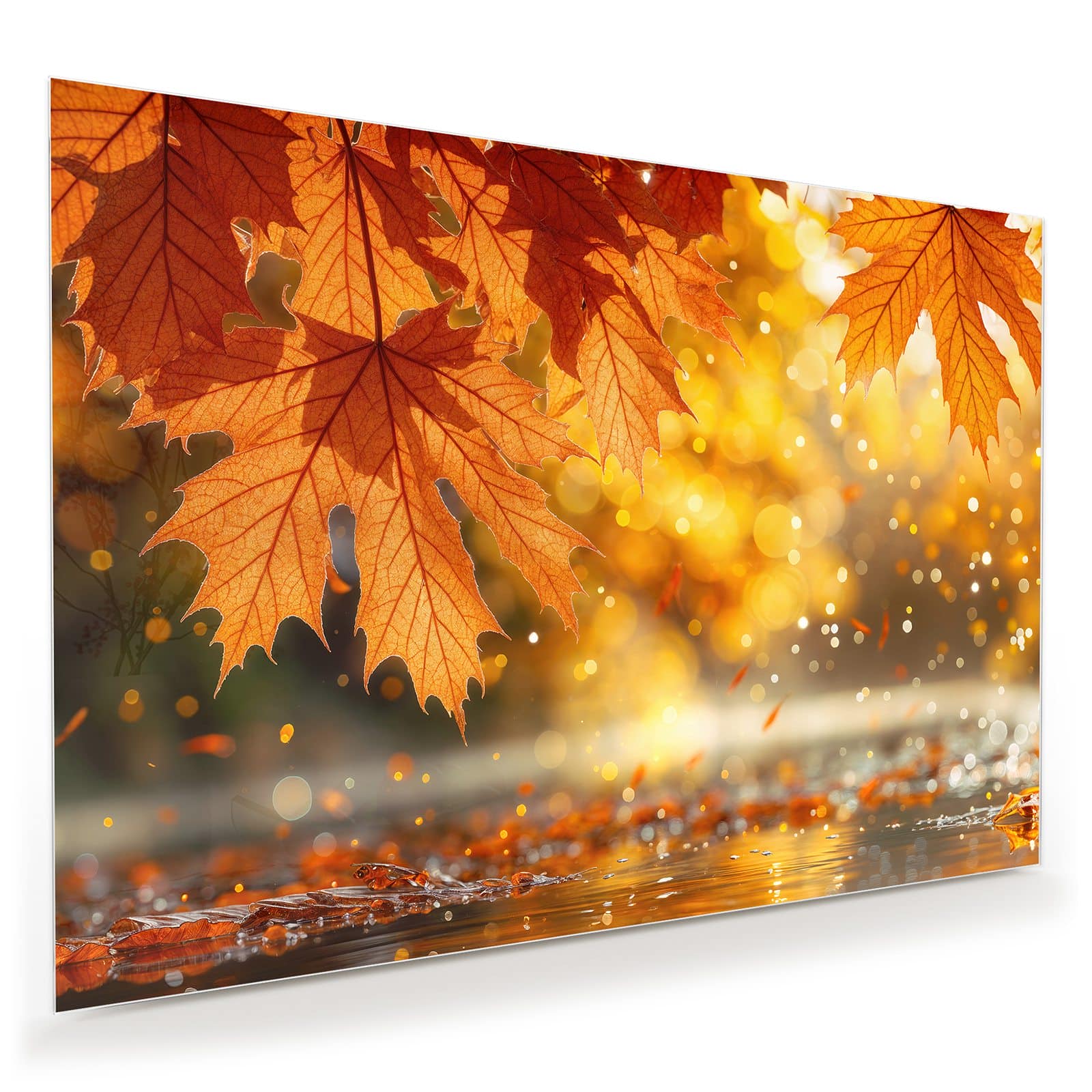 #grösse_100 x 70 cm