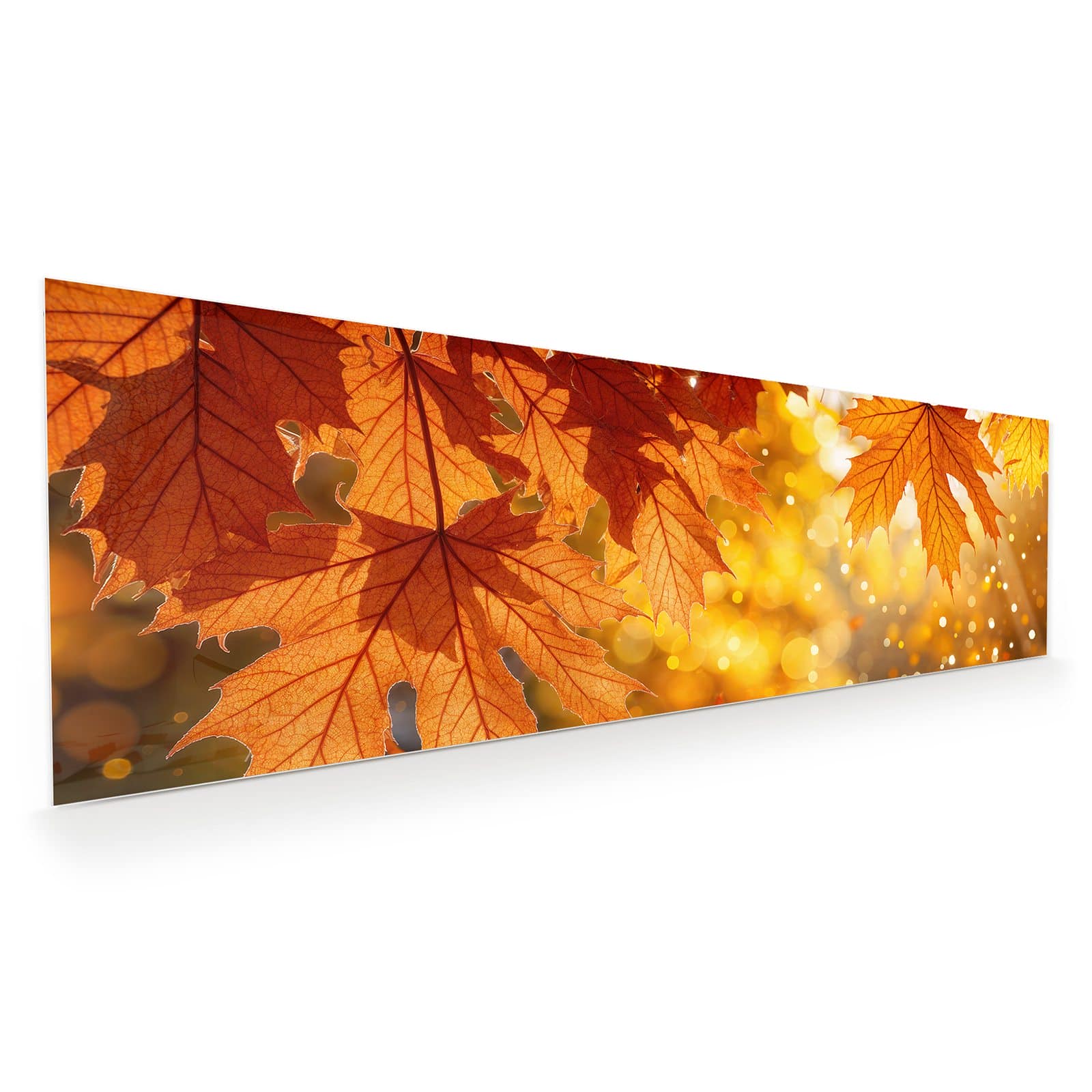 #grösse_120 x 40 cm