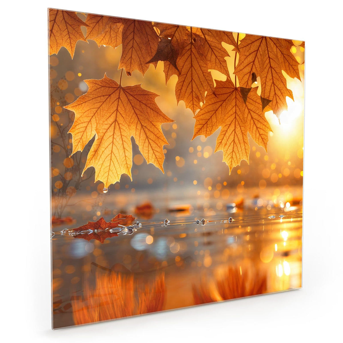 Küchenrückwand aus Glas im quadratischen Format: Große orangegoldene Ahornblätter hängen über einer spiegelnden Wasserfläche mit Lichtbokeh #grösse_50 x 50 cm #grösse_60 x 60 cm #grösse_40 x 40 cm