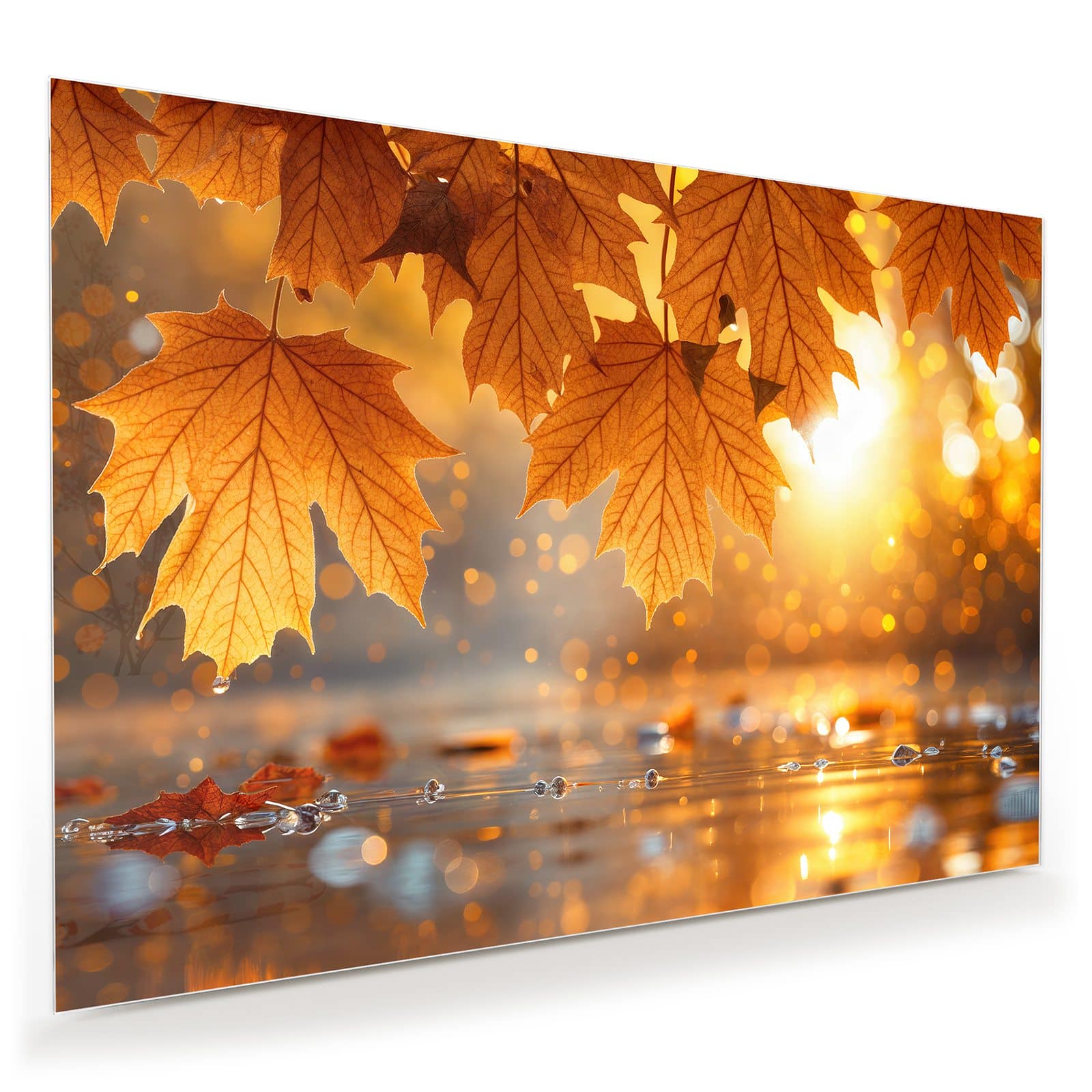 #grösse_100 x 70 cm