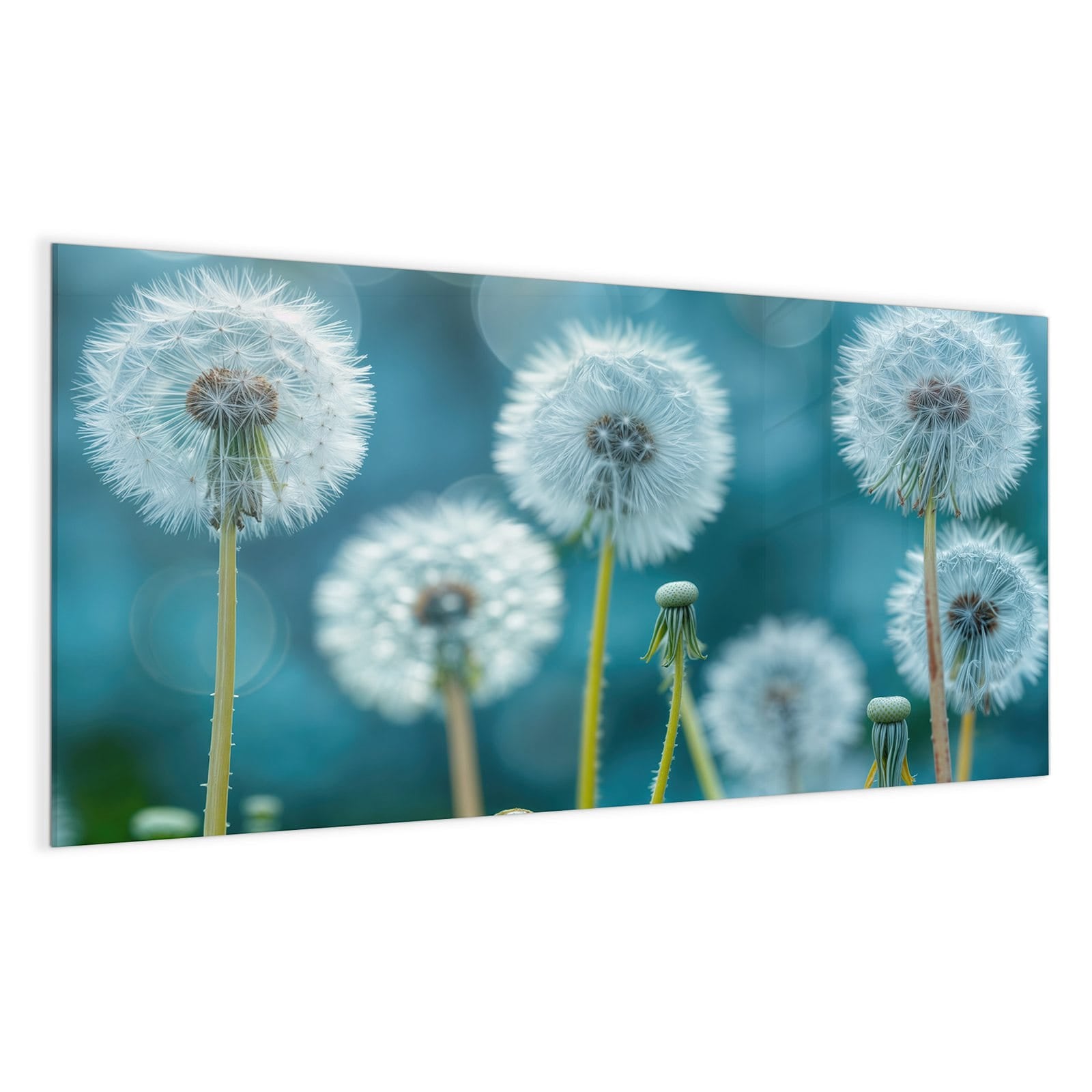 #grösse_100 x 50 cm