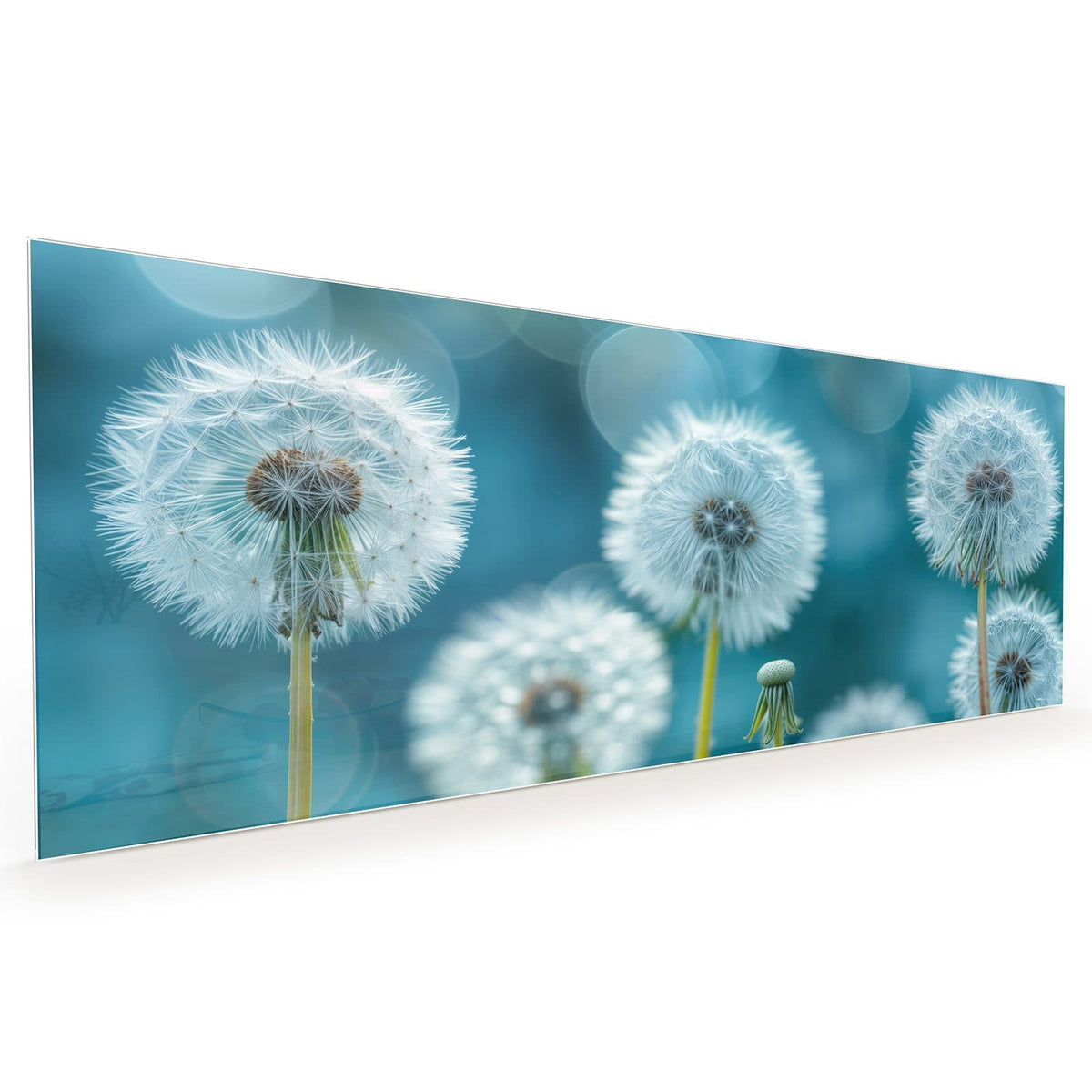 #grösse_40 x 100 cm #grösse_50 x 125 cm #grösse_60 x 150 cm