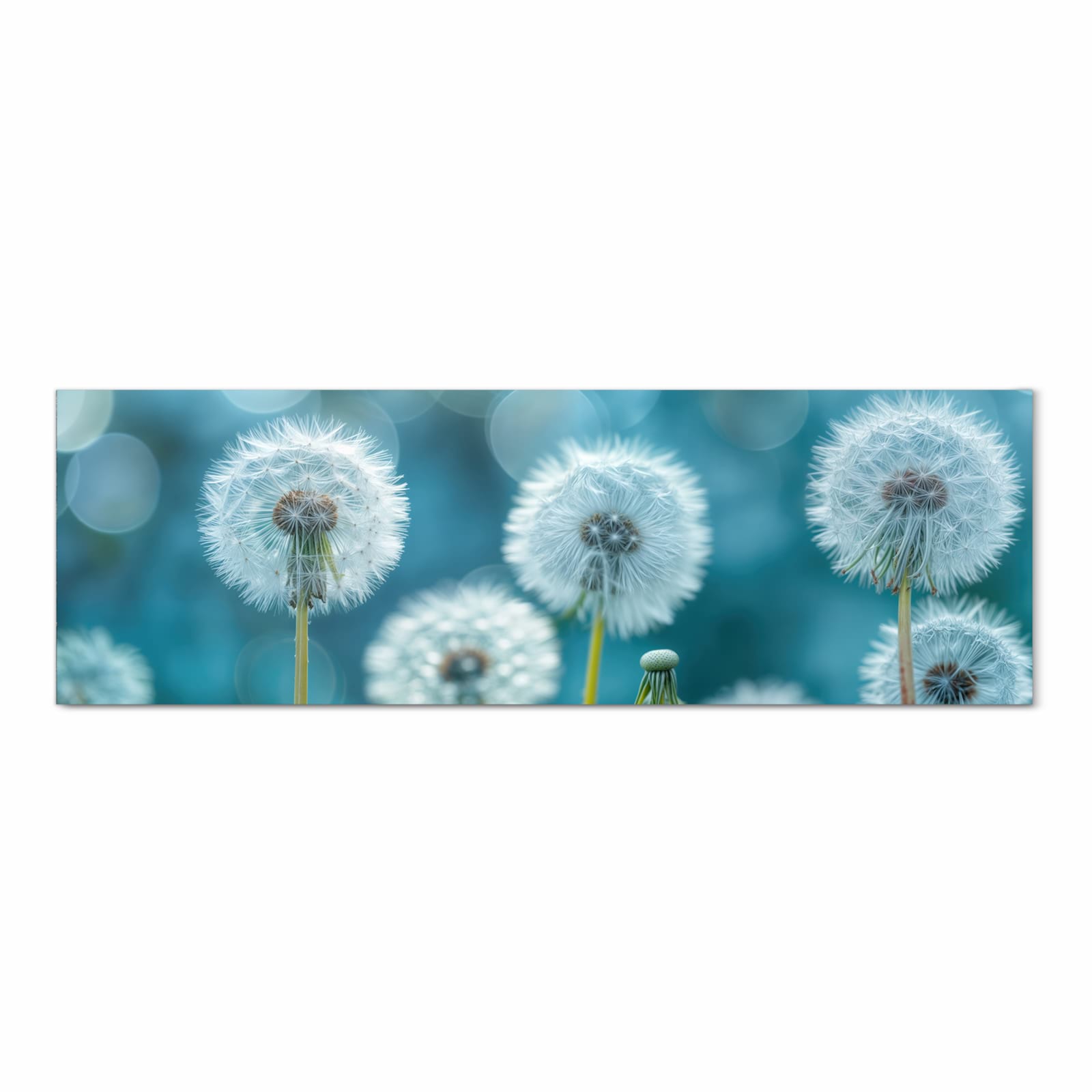 Rutschfester Küchenläufer mit Motiv Löwenzahnwiese in Frontansicht für sicheren Stand