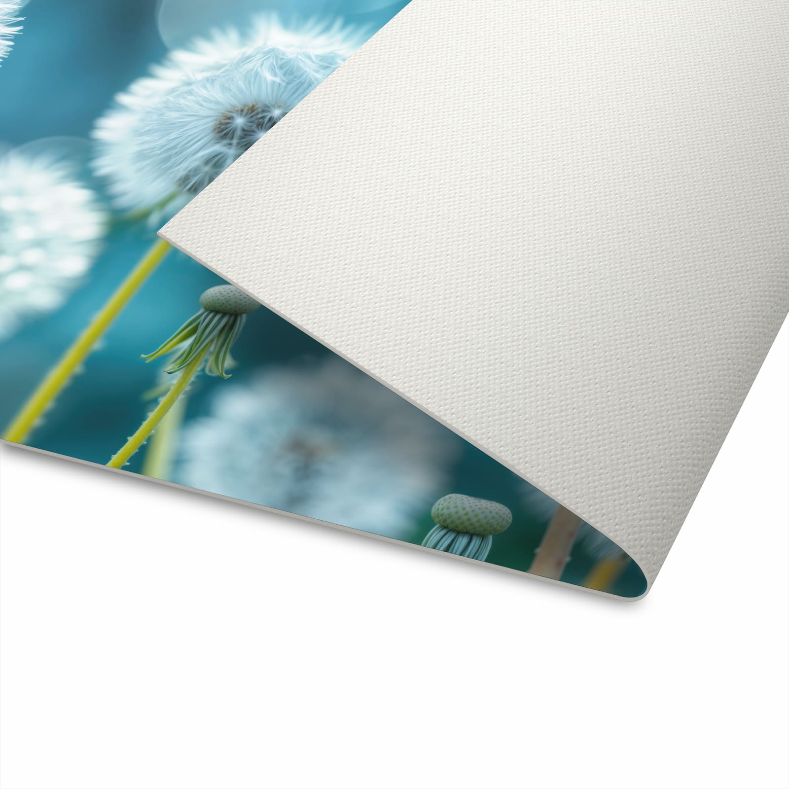 Rutschfester Läufer für die Küche mit Motiv Löwenzahnwiese in Unterseite