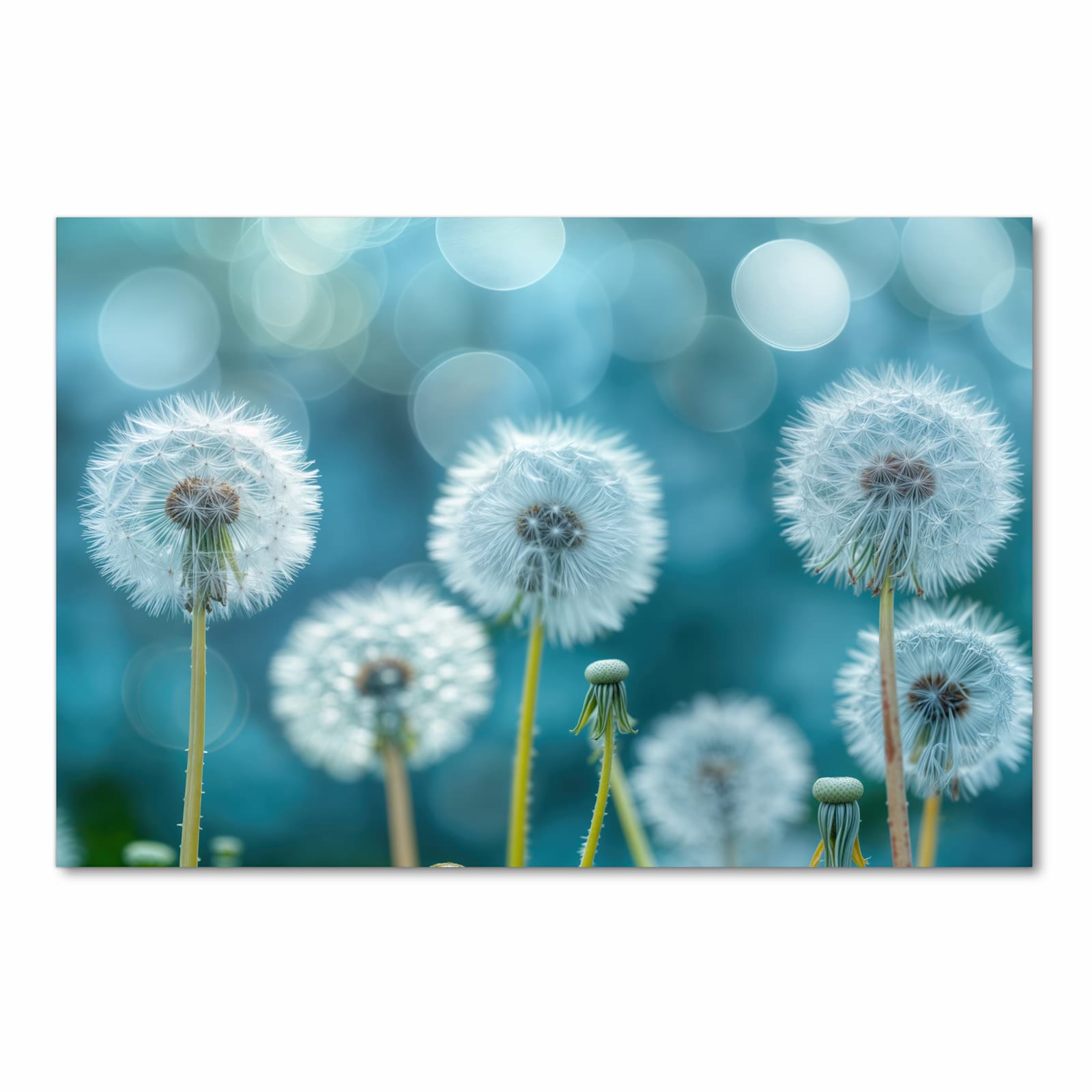 Langlebiger waschbarer Küchenläufer mit Motiv Löwenzahnwiese in Frontansicht