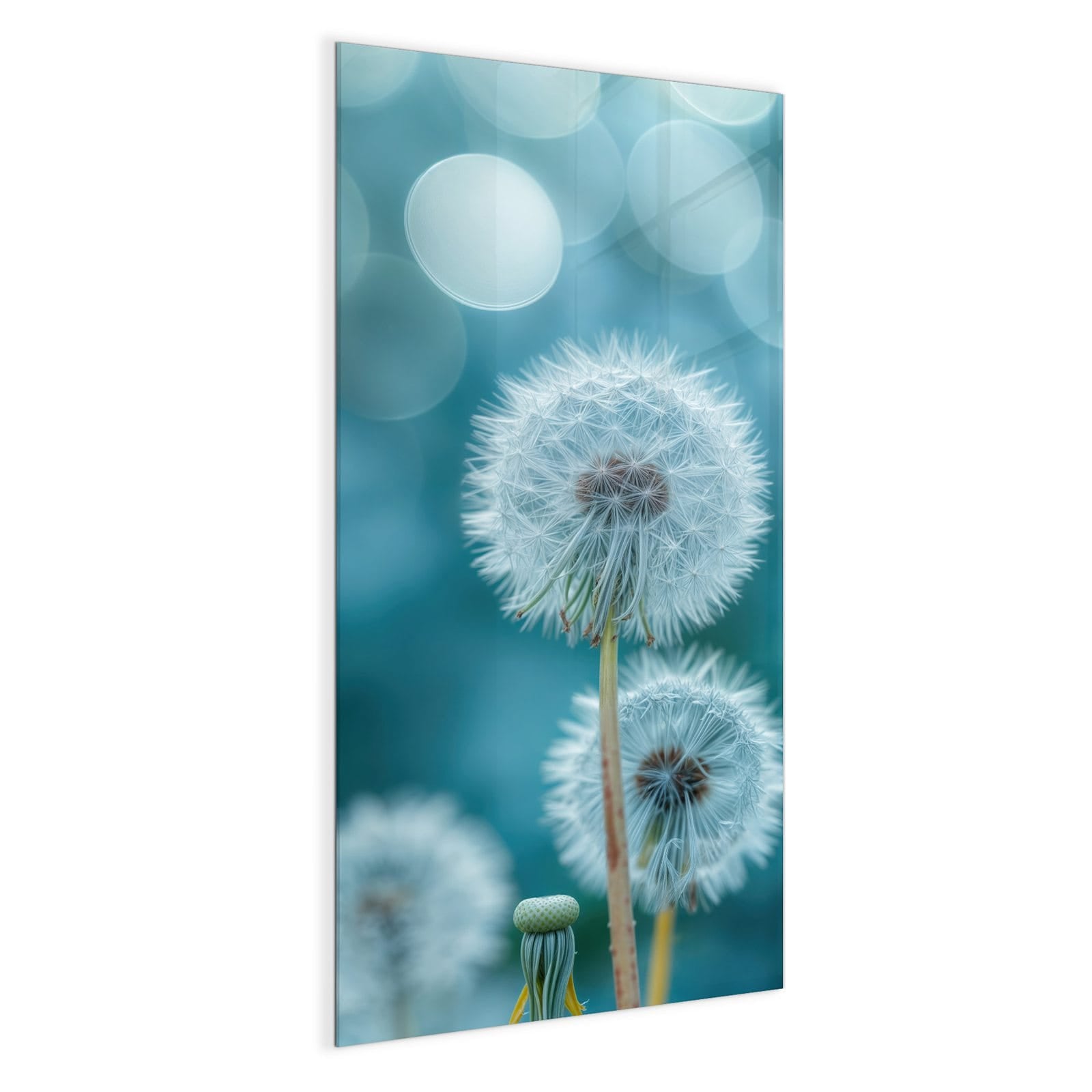 #grösse_50 x 100 cm