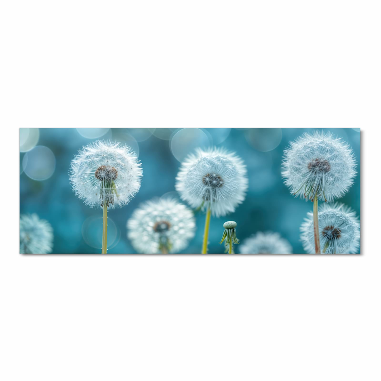 Waschbarer Küchenläufer mit Motiv Löwenzahnwiese in Frontansicht für Ordnung