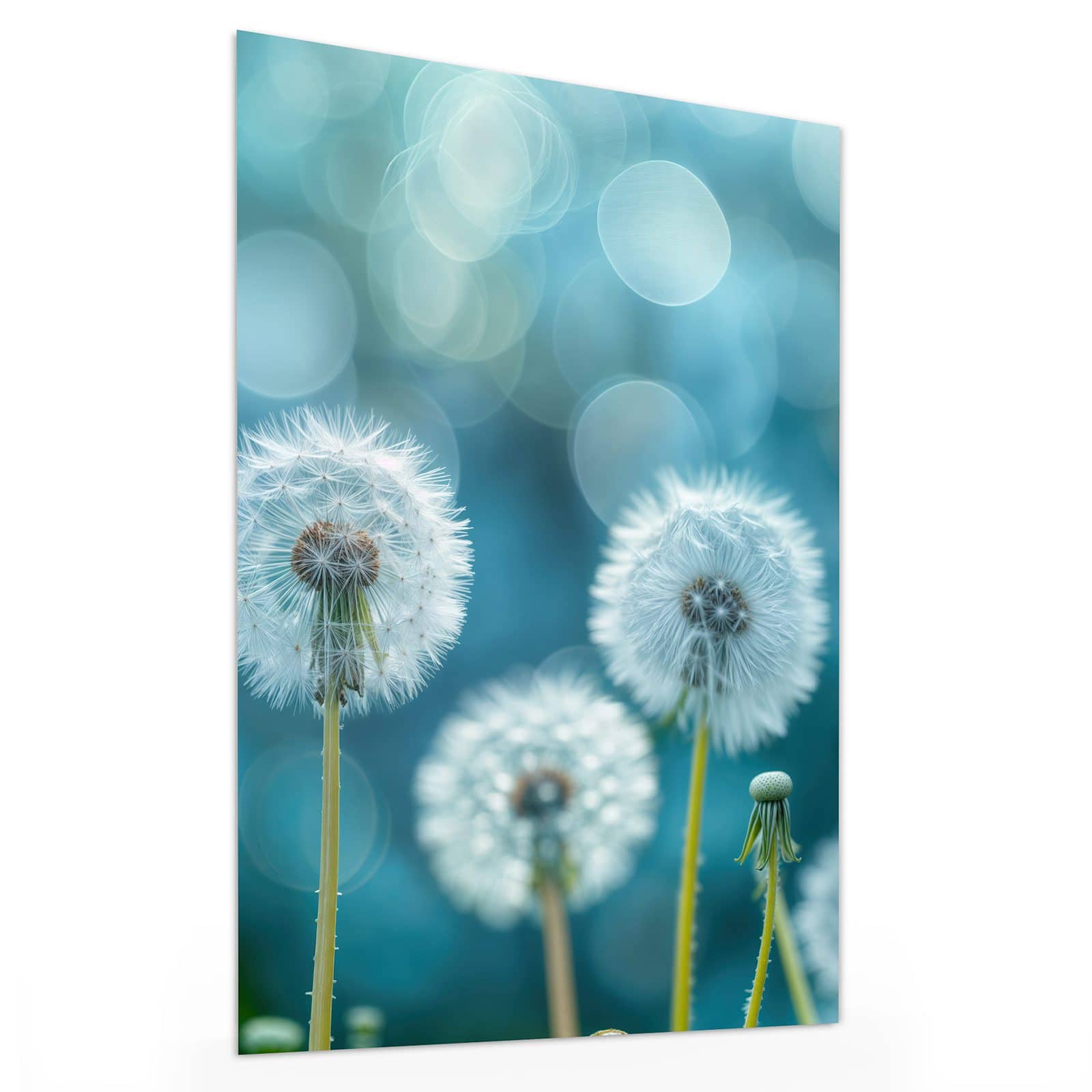 #grösse_30 x 40 cm #grösse_60 x 80 cm #grösse_75 x 100 cm