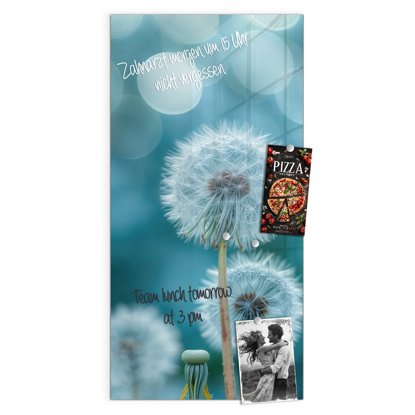 #grösse_50 x 100 cm