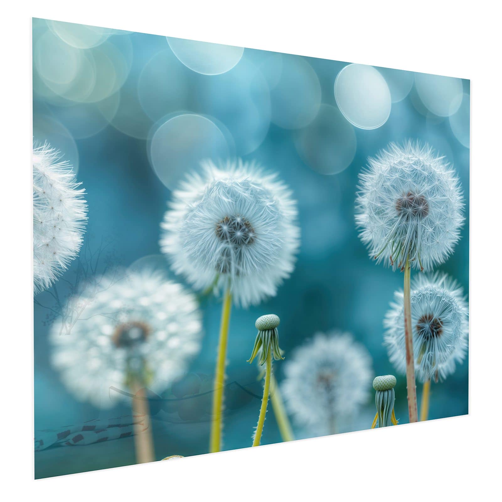 #grösse_75 x 60 cm #grösse_100 x 80 cm