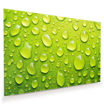 Wandbild mit dem Motiv Tropfen auf Grün