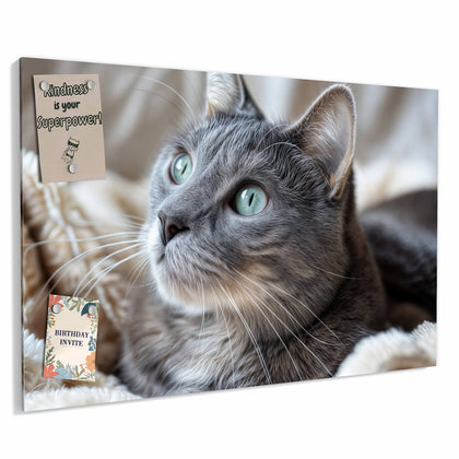 Metall Magnettafel mit dem Motiv Graue Katze auf Decke