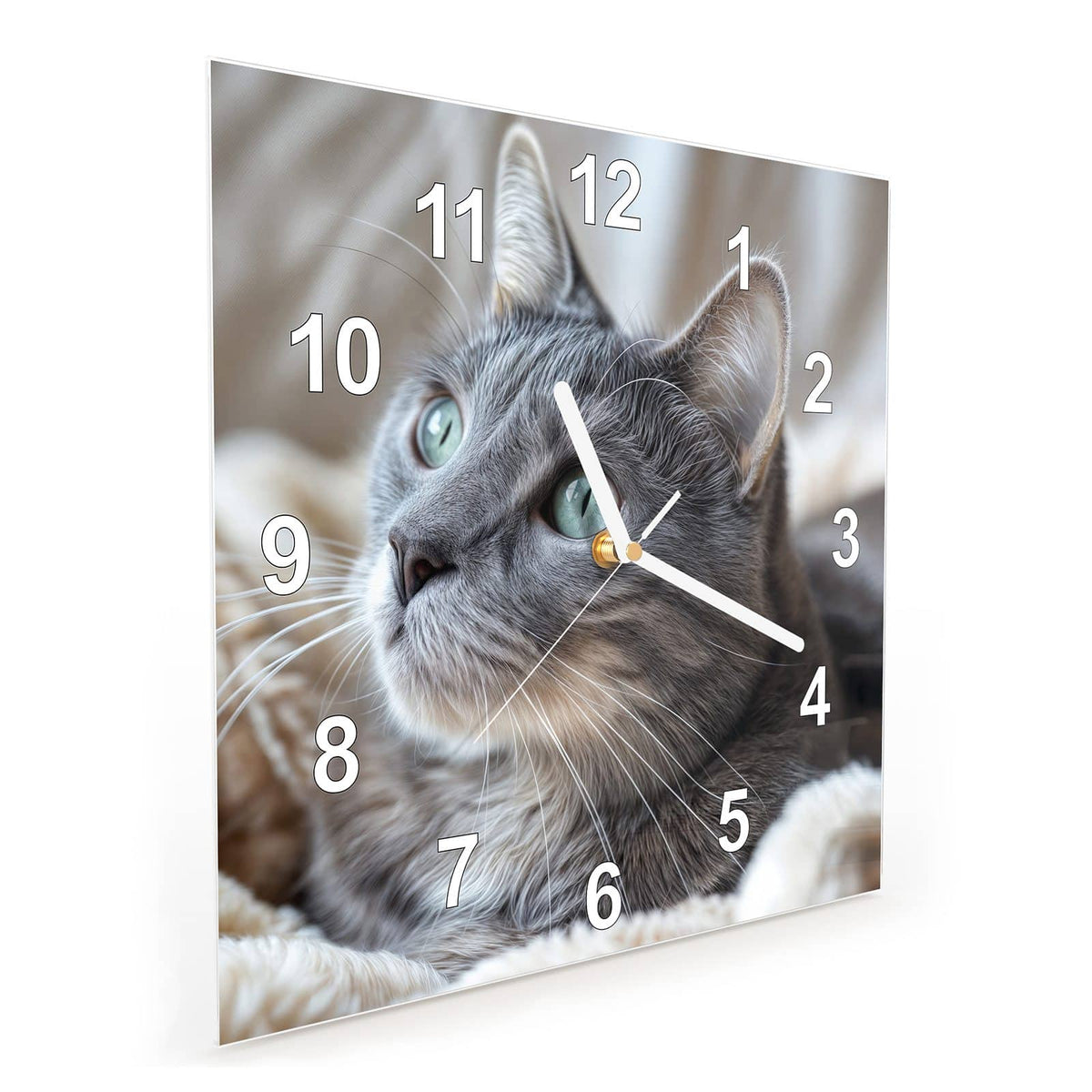Quadratische Wanduhr aus Glas Graue Katze auf Decke schräg von der Seite, 4 mm starkes Glas