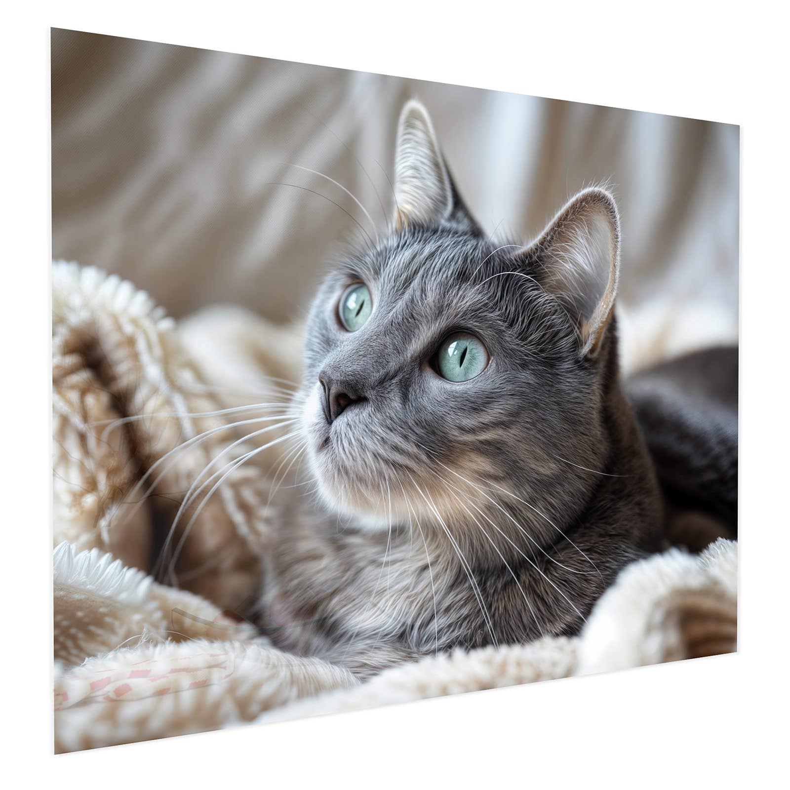 #grösse_75 x 60 cm #grösse_100 x 80 cm