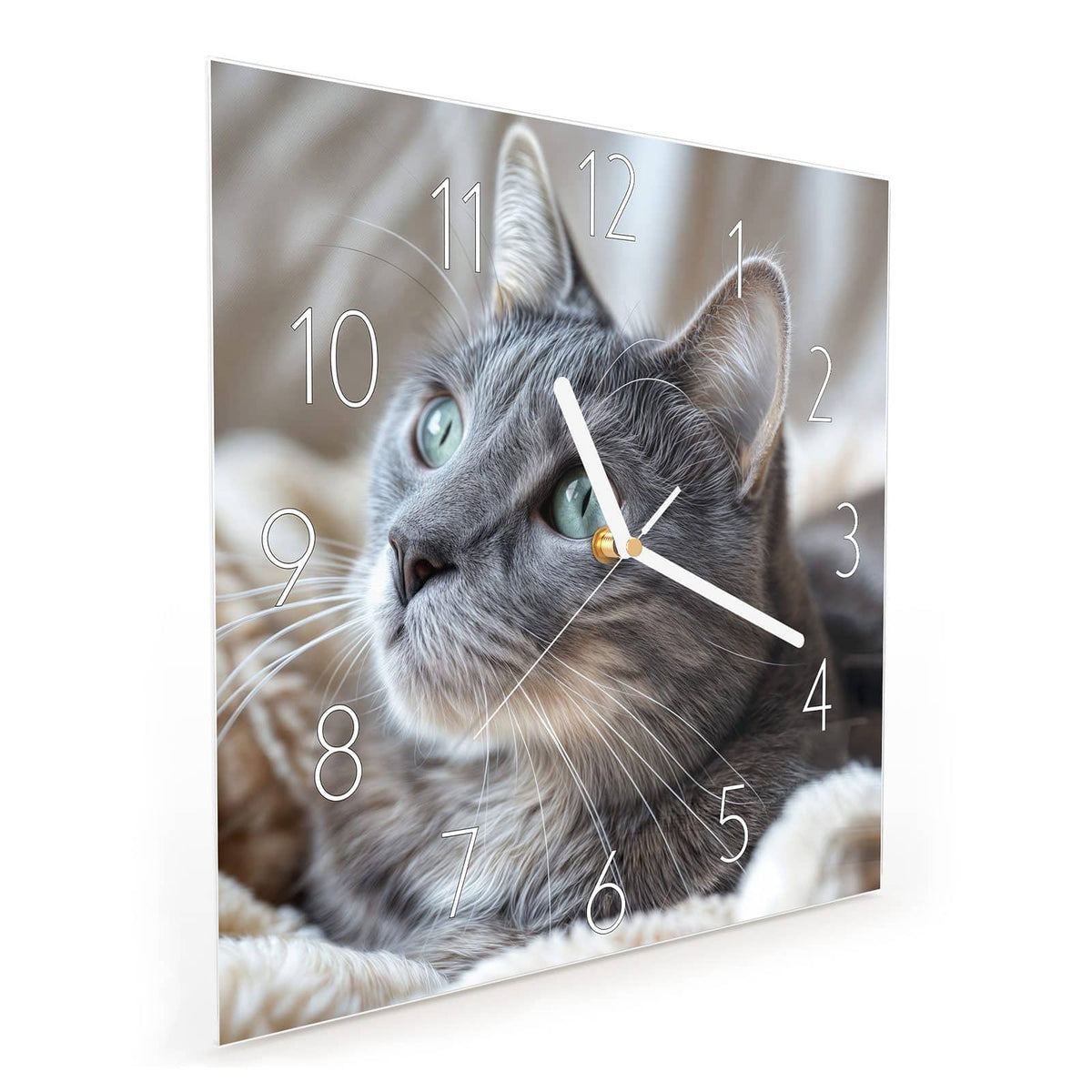 Quadratische Wanduhr aus Glas Graue Katze auf Decke schräg von der Seite, 4 mm starkes Glas