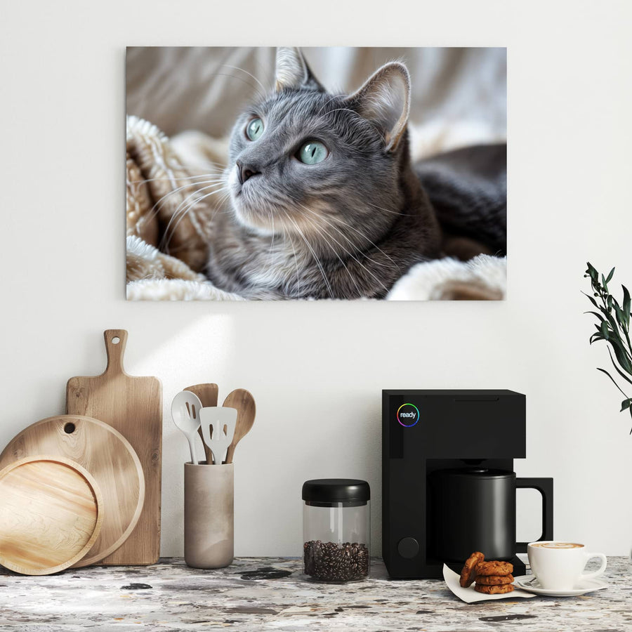 Maße Metall Magnettafel - Graue Katze auf Decke