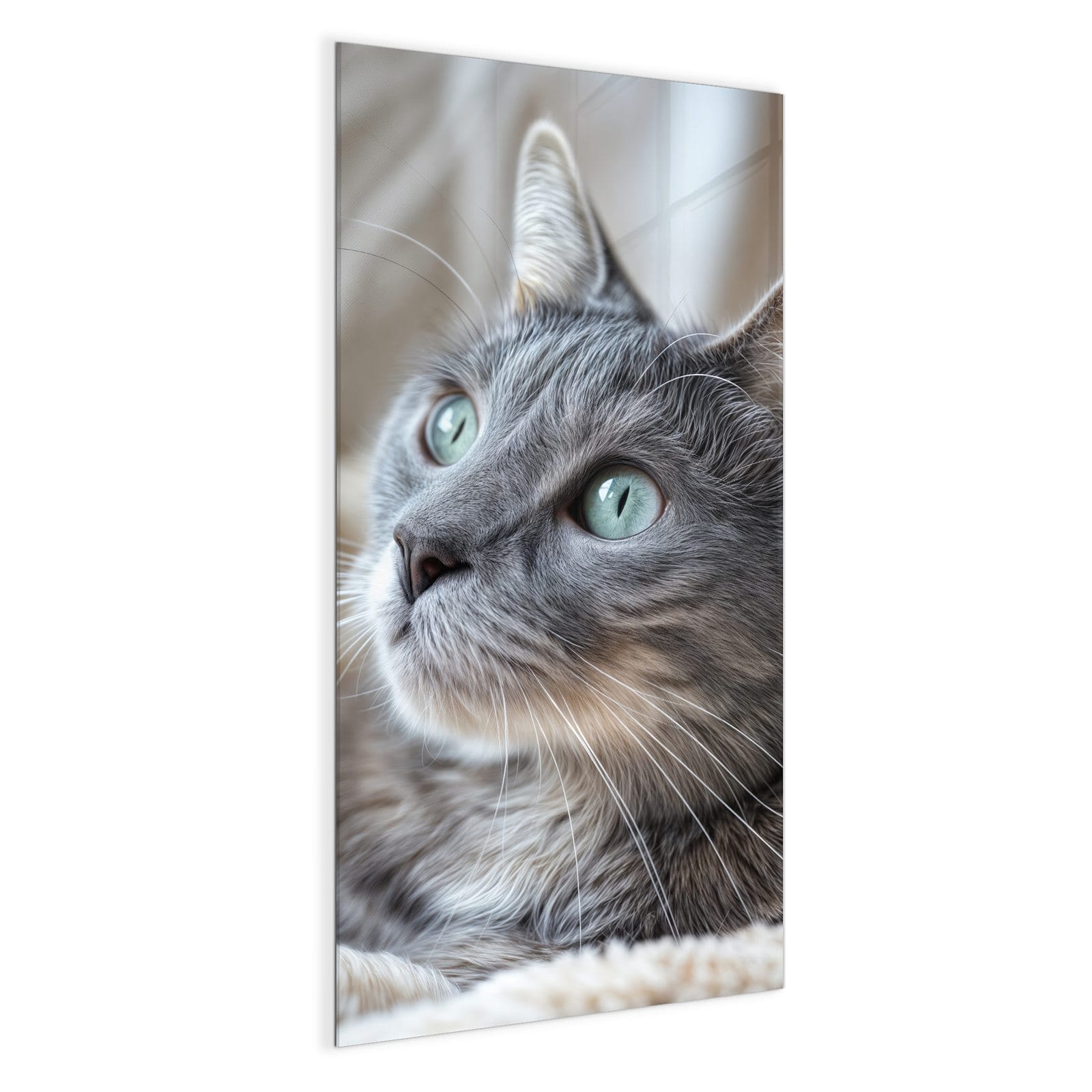 #grösse_50 x 100 cm