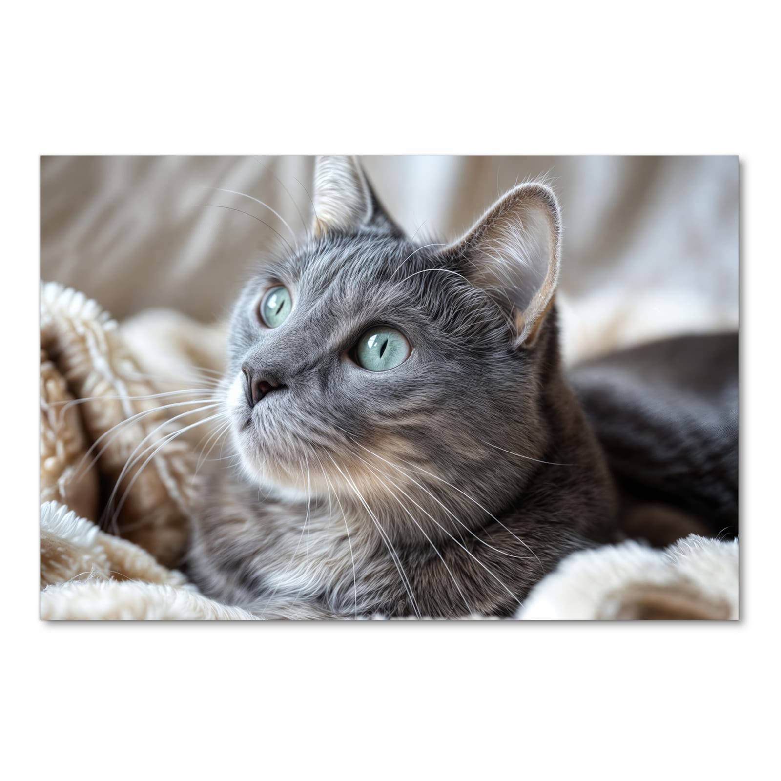 Bodenläufer mit Motiv Kuschelige Katze in Frontansicht für Ordnung & Übersicht