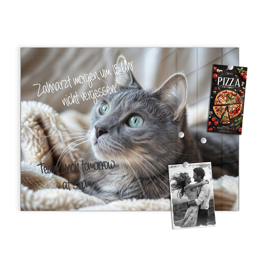 Maße Magnettafel - Graue Katze auf Decke