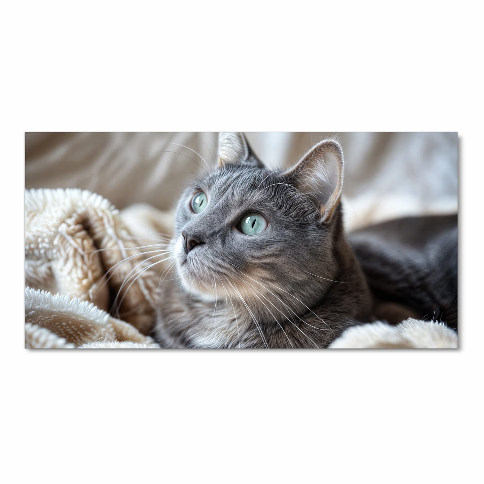 Strapazierfähiger dünner Küchenteppich mit Motiv Kuschelige Katze in Frontansicht