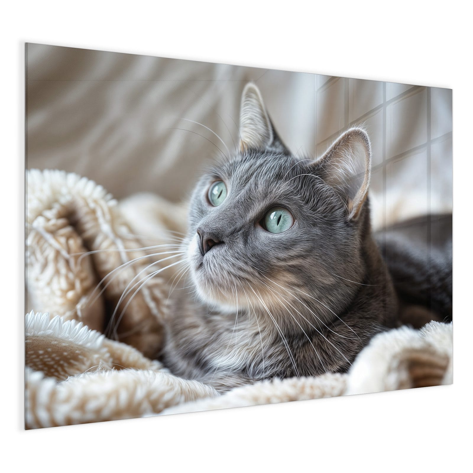 #grösse_120 x 90 cm