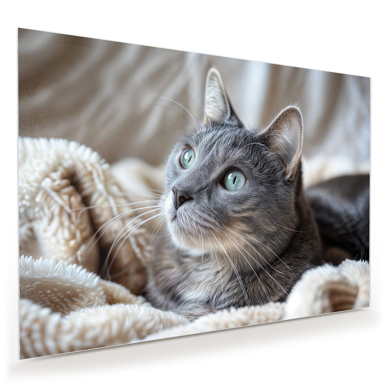 #grösse_100 x 70 cm