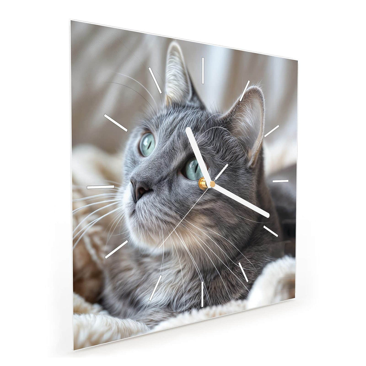 Quadratische Wanduhr aus Glas Graue Katze auf Decke schräg von der Seite, 4 mm starkes Glas
