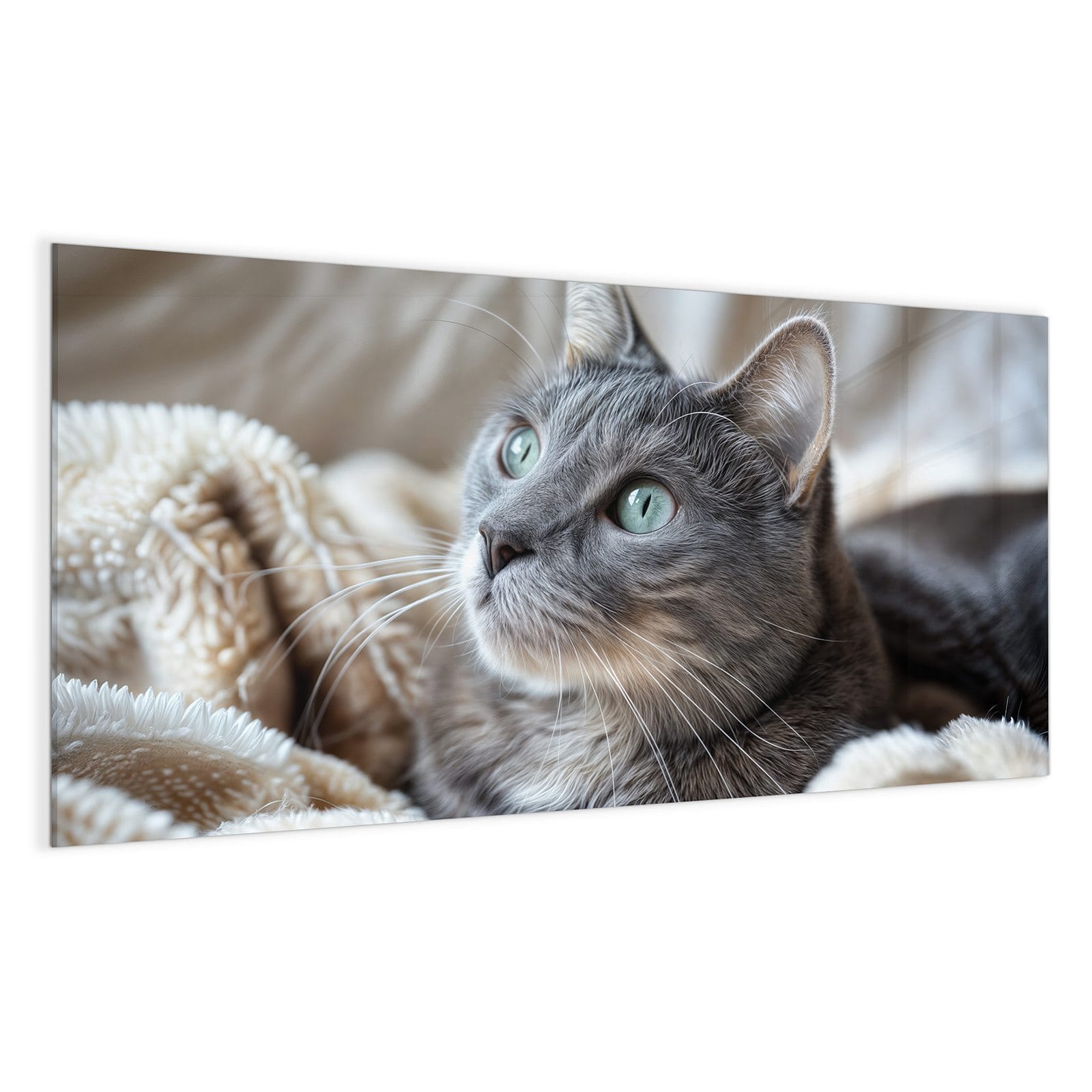 #grösse_100 x 50 cm